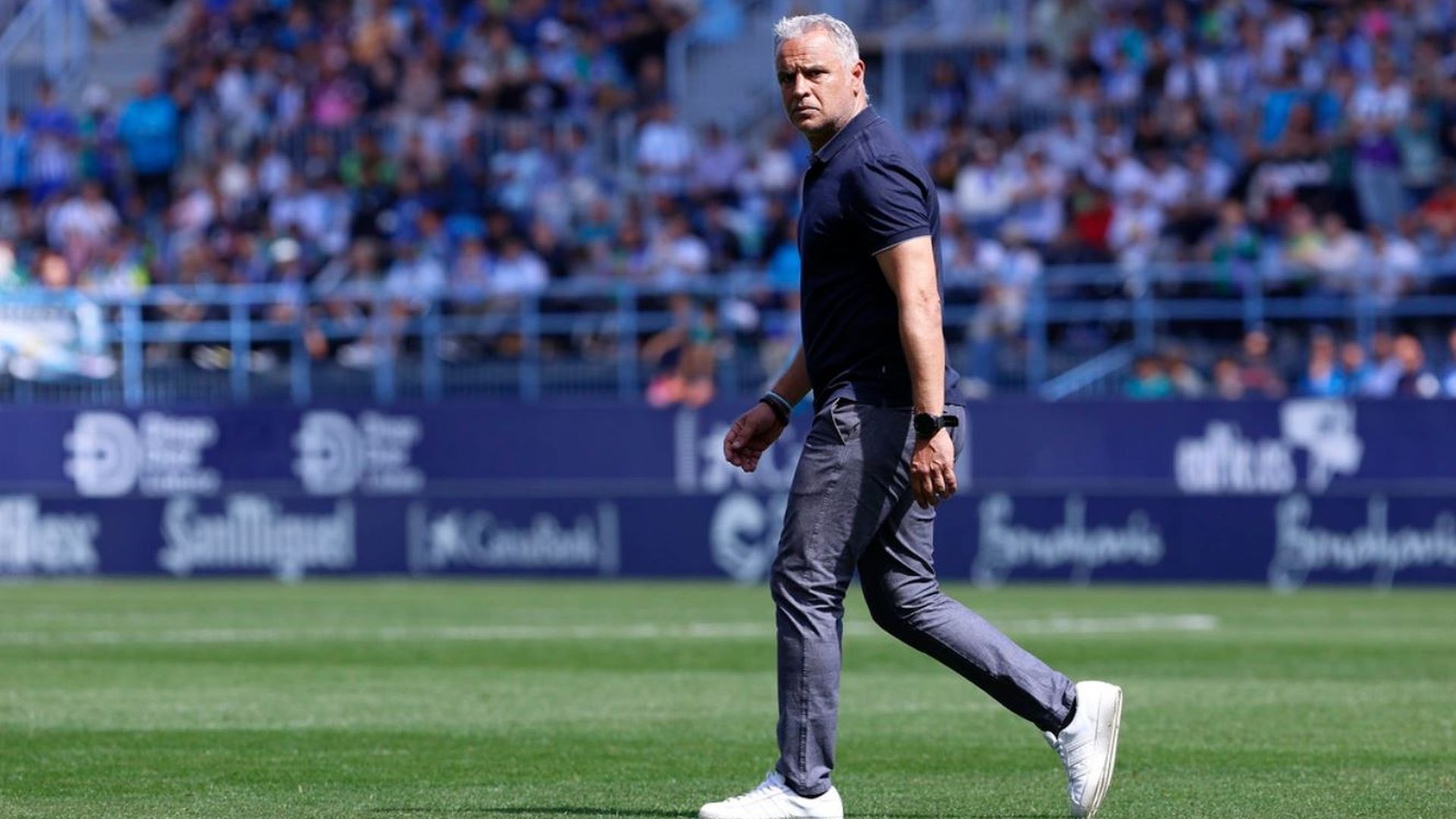 pellicer_malaga_2024jpg_001.JPG pellicer_malaga_2024jpg_001.JPG