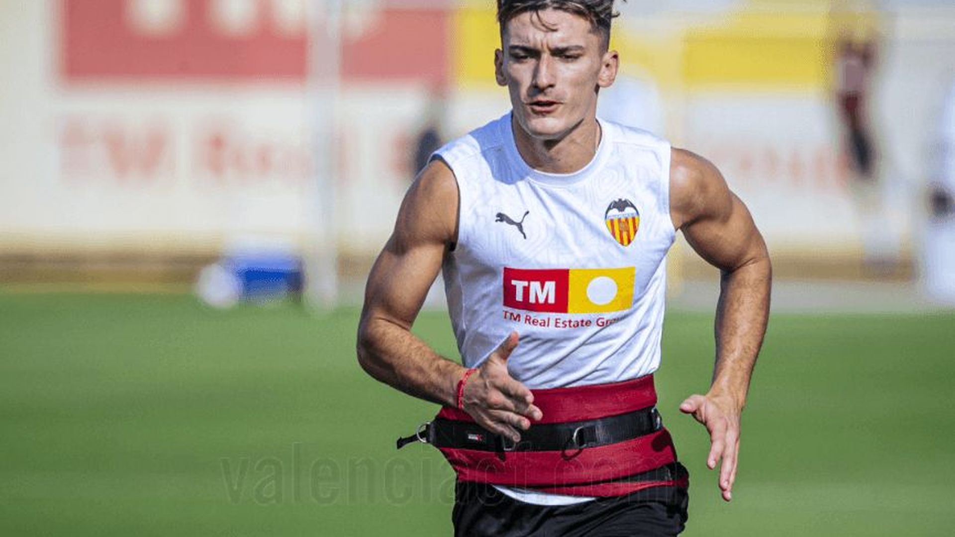 pepelu_001.png pepelu_001.png