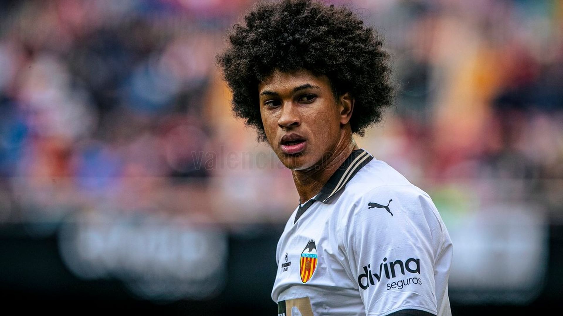 peter_federico.jpeg peter_federico.jpeg