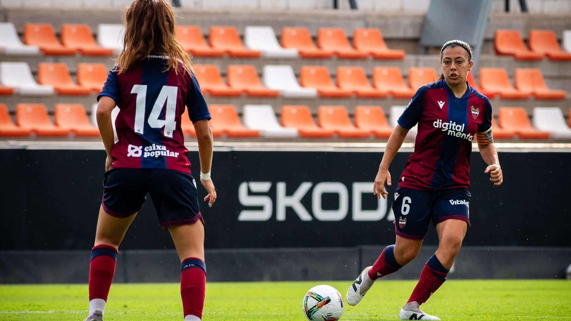 pfernandez.jpg pfernandez.jpg