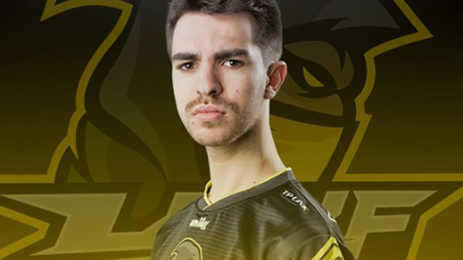 poochipoom.png poochipoom.png