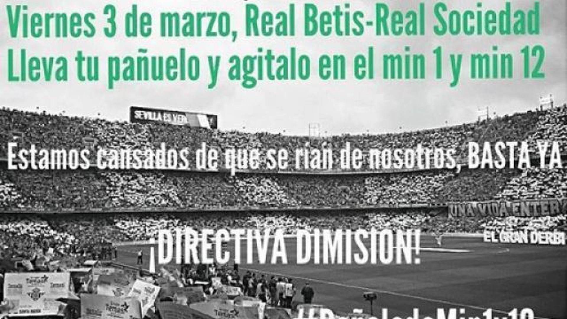 protesta_directiva.jpg