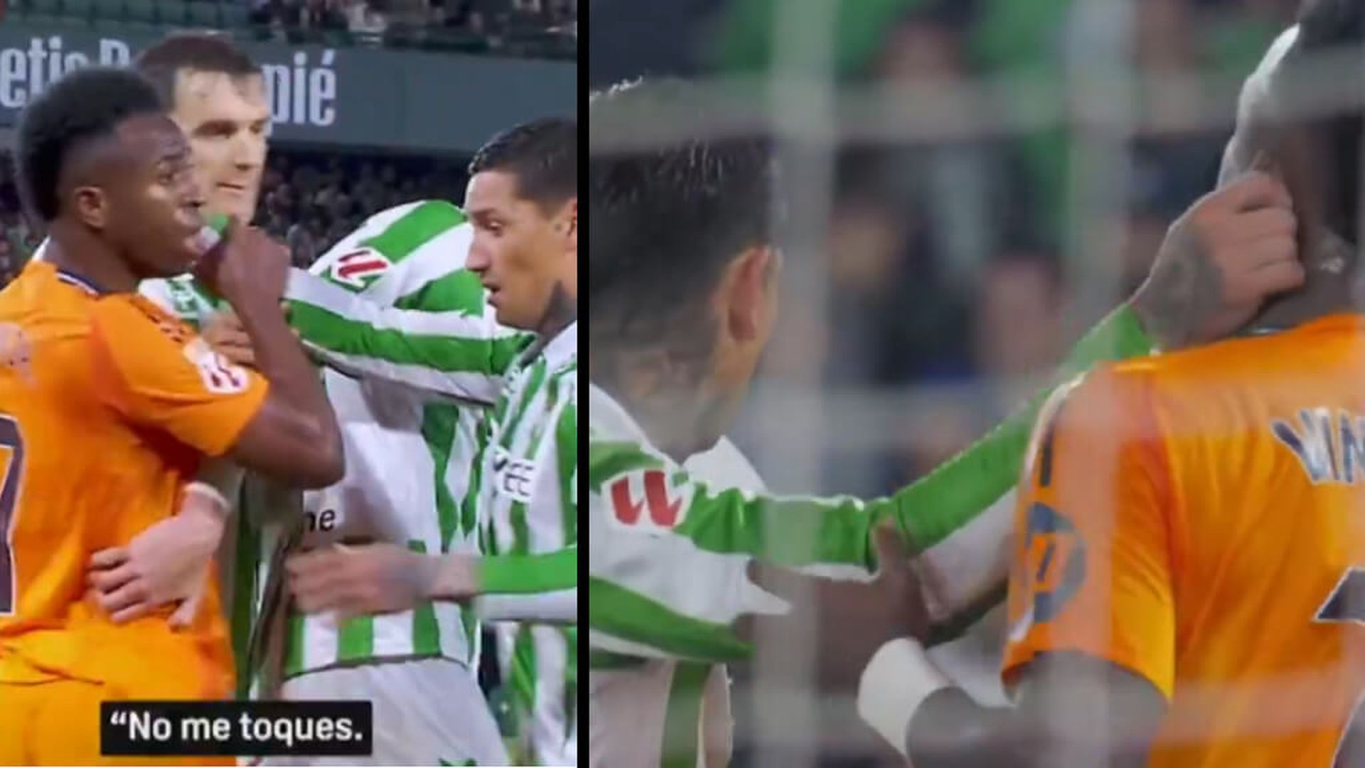 proyecto_nuevo_9jpg.jpg proyecto_nuevo_9jpg.jpg