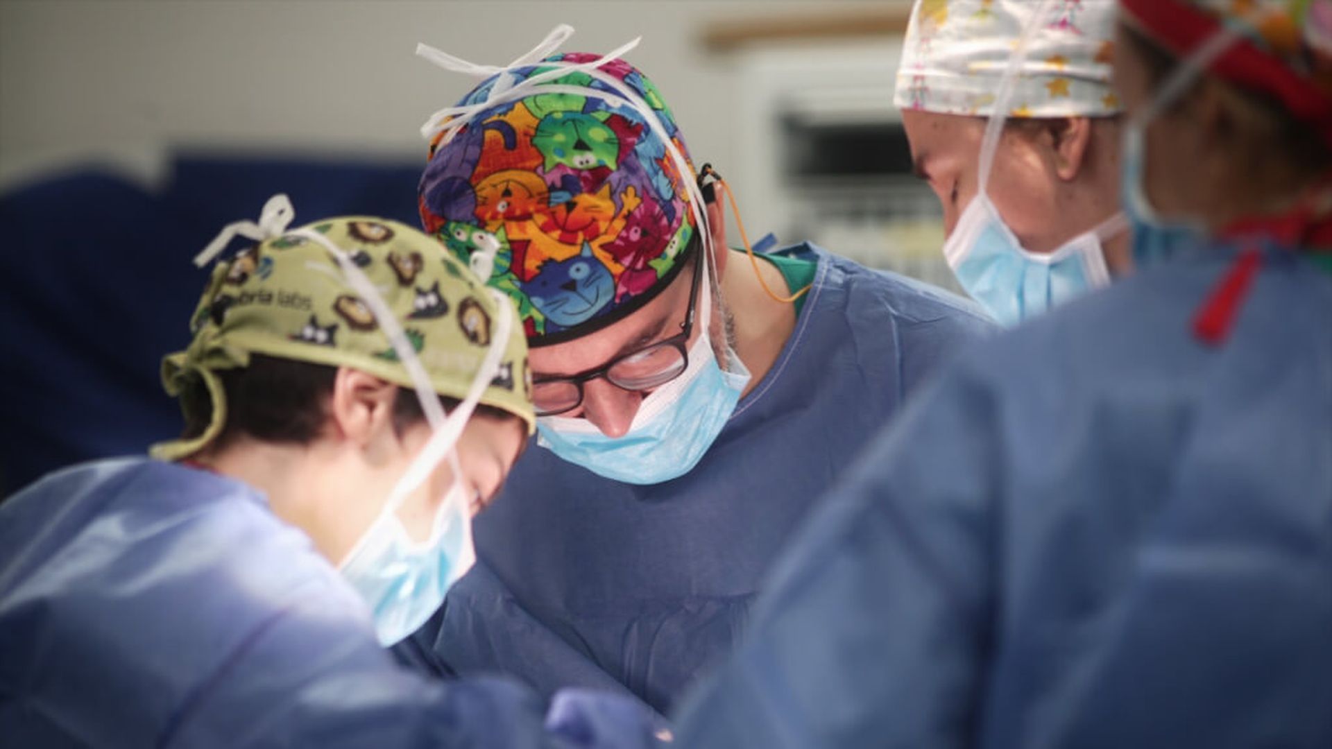 quirofanojpg.jpg quirofanojpg.jpg