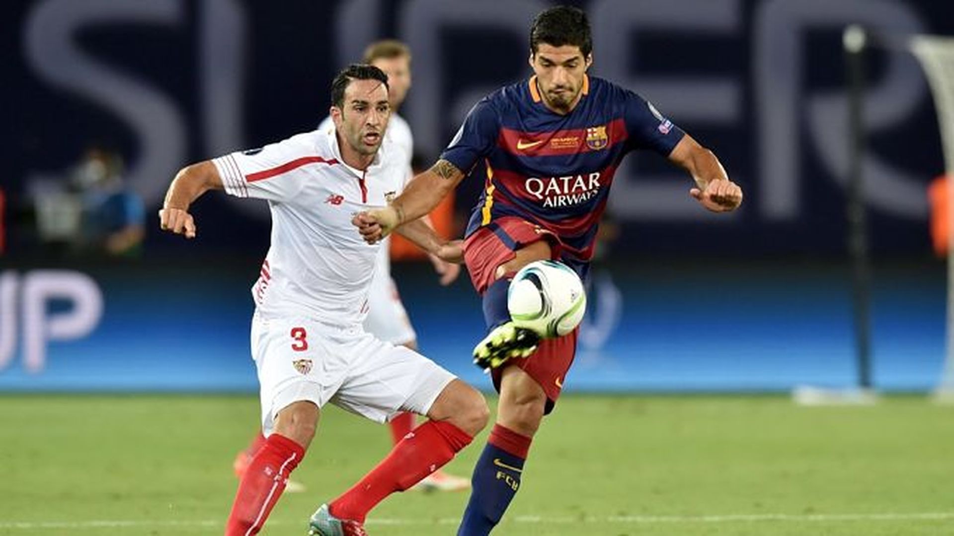 rami_opt.jpg rami_opt.jpg