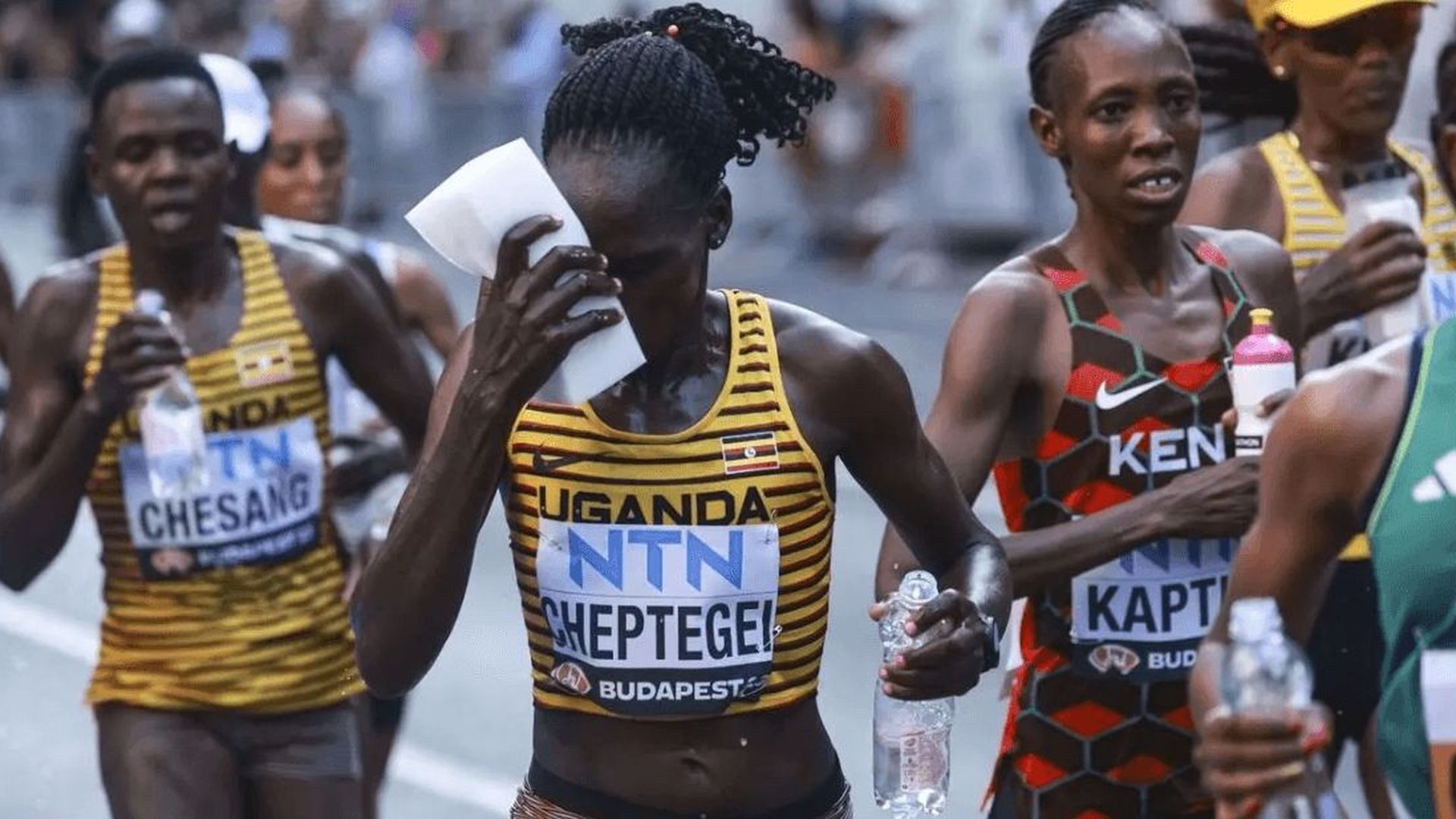 rebeccapng.png rebeccapng.png