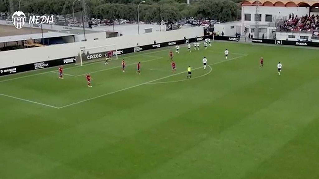 Resumen del VCF Mestalla