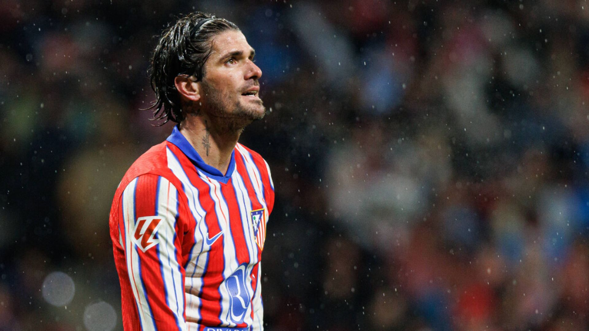 rodrigojpg_001.jpg rodrigojpg_001.jpg