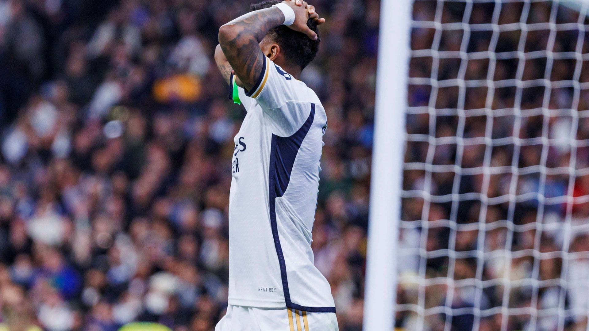 rodrygo.jpg rodrygo.jpg