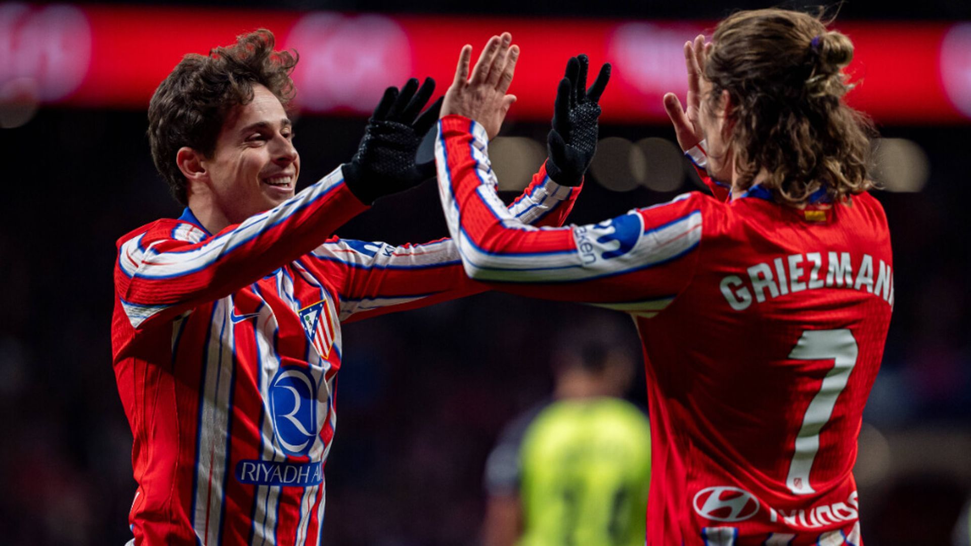 roro_antoinejpg_001.jpg roro_antoinejpg_001.jpg