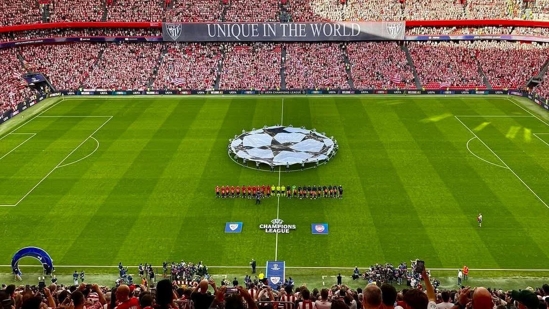 sanmamesjpeg_001.jpeg sanmamesjpeg_001.jpeg