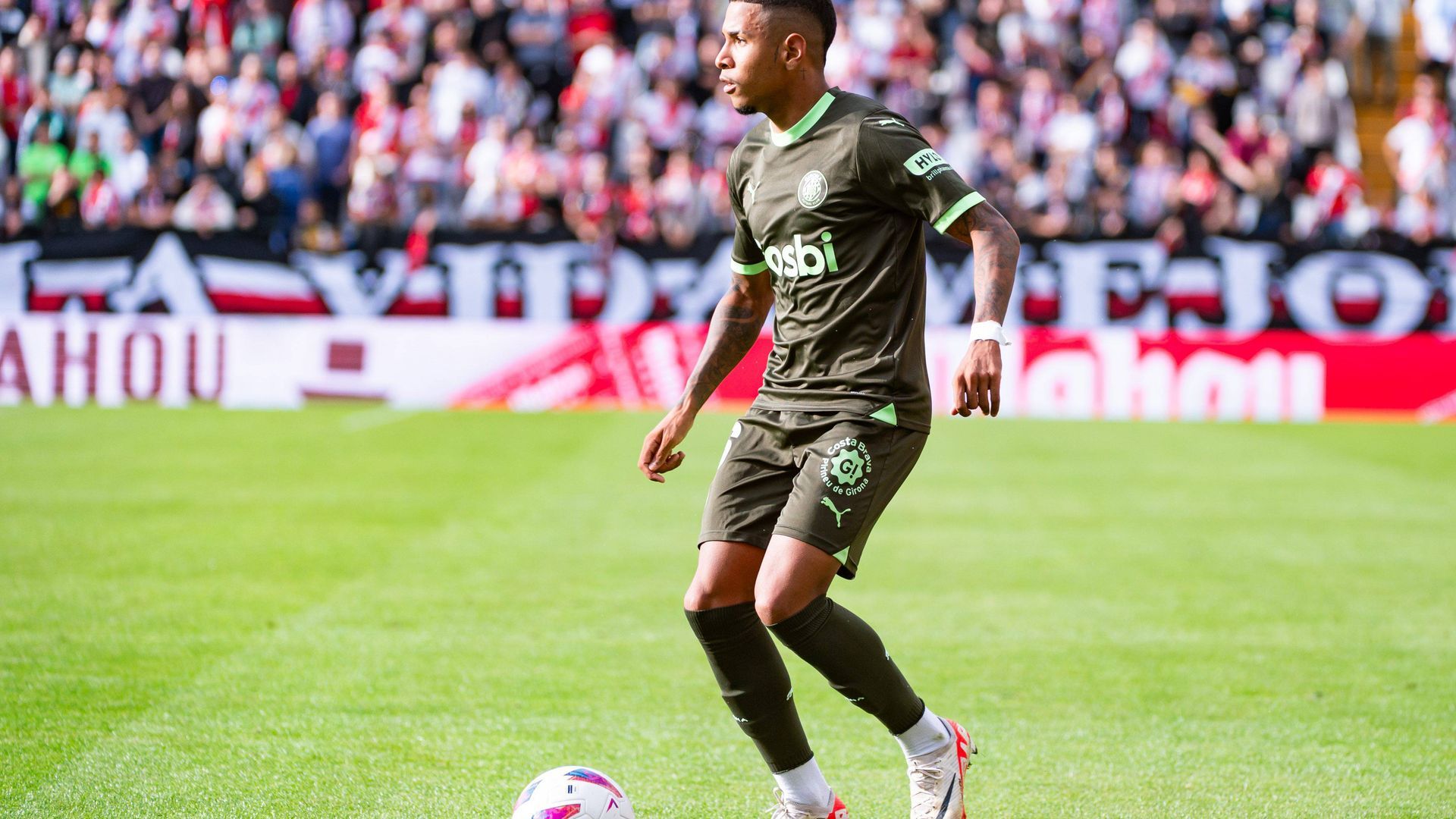 savinho_001.jpg savinho_001.jpg