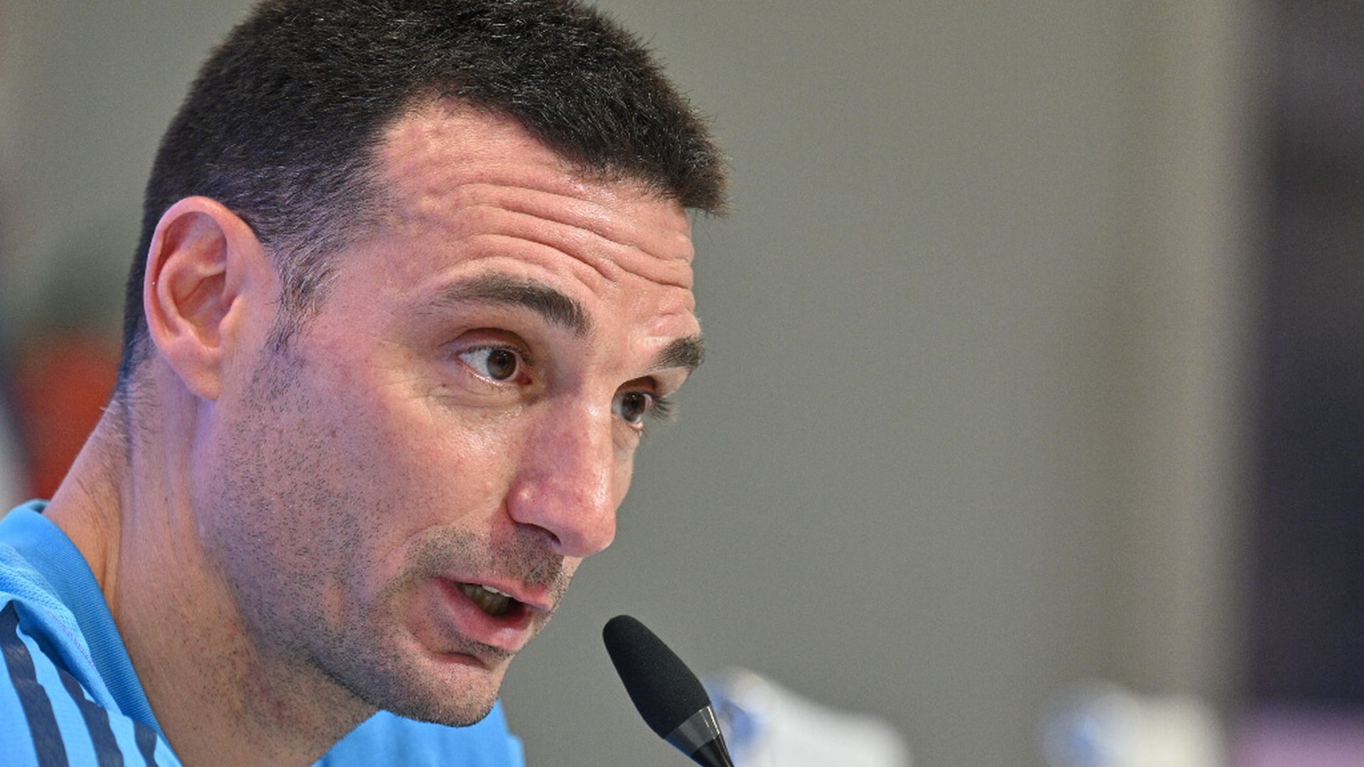 scalonijpg.jpg scalonijpg.jpg