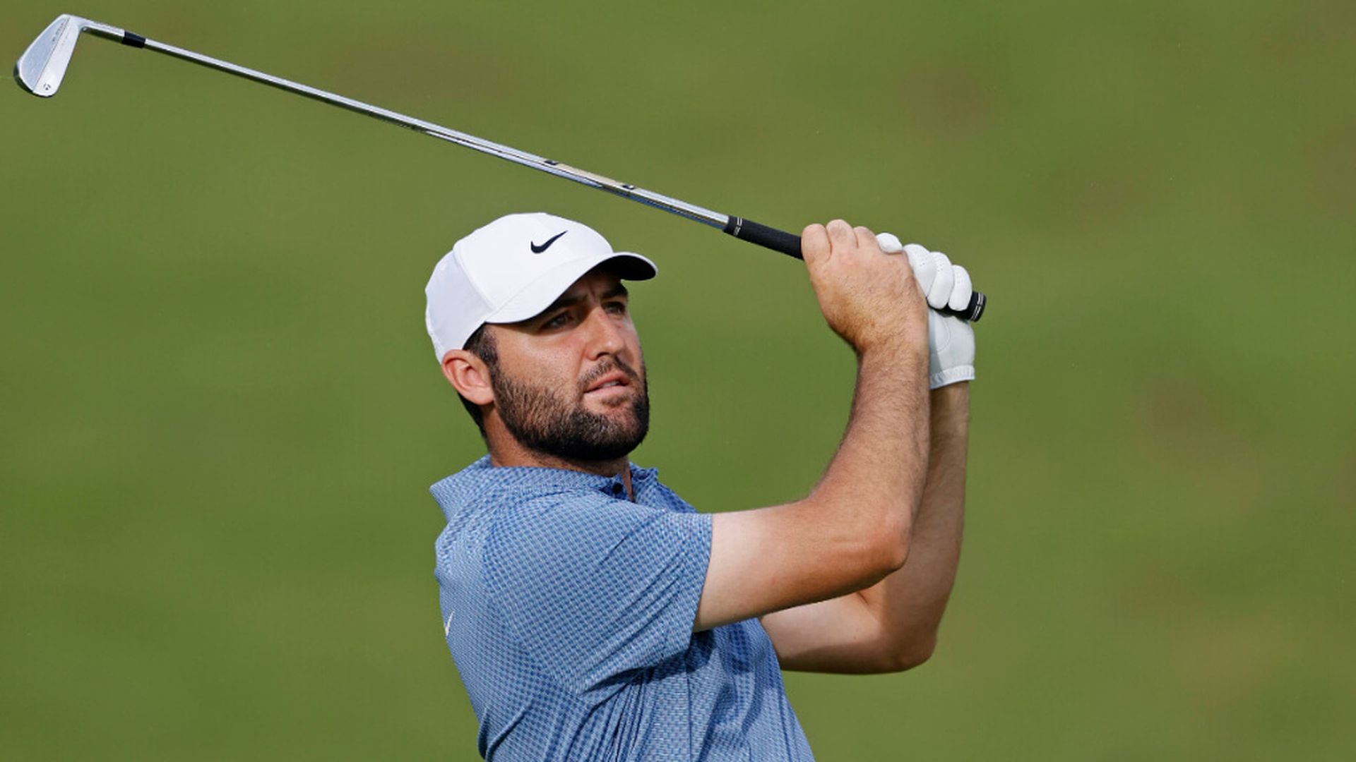 scottie_okjpg_001.jpg scottie_okjpg_001.jpg