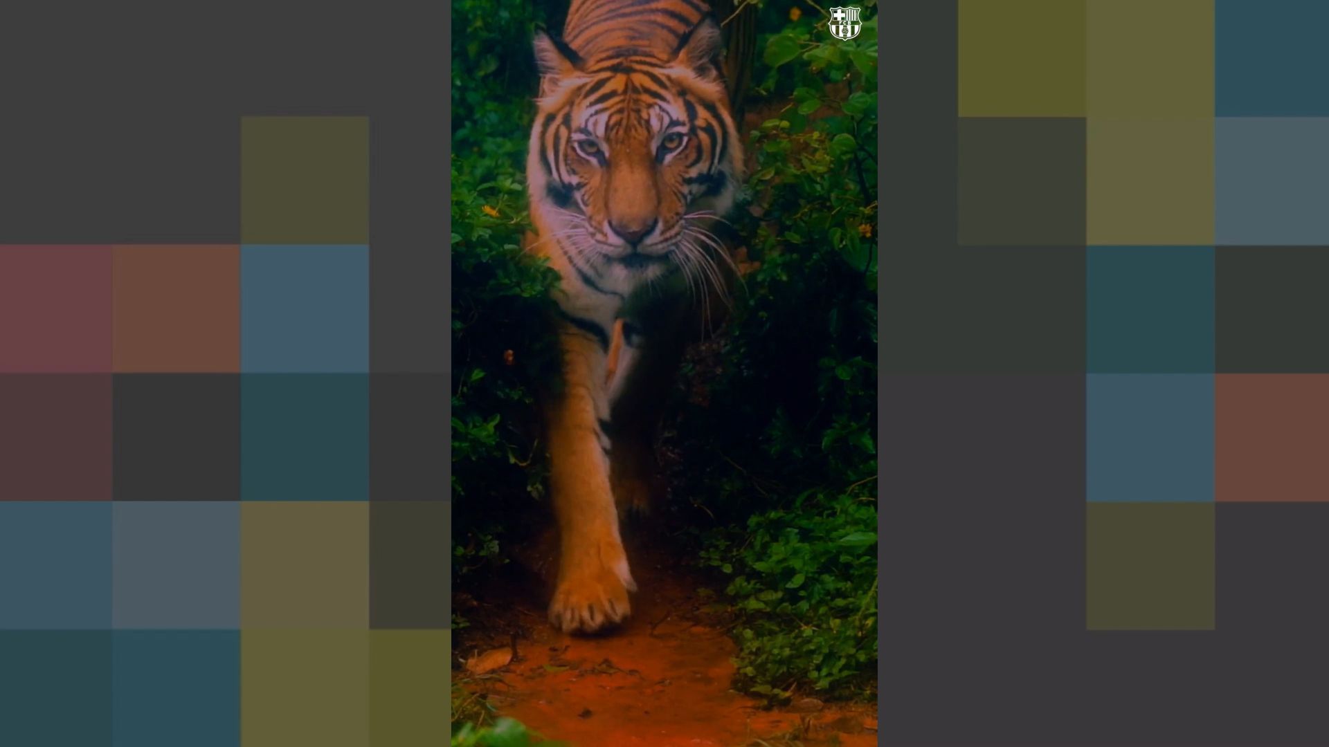 screenshot_2023_07_12_131507.png screenshot_2023_07_12_131507.png