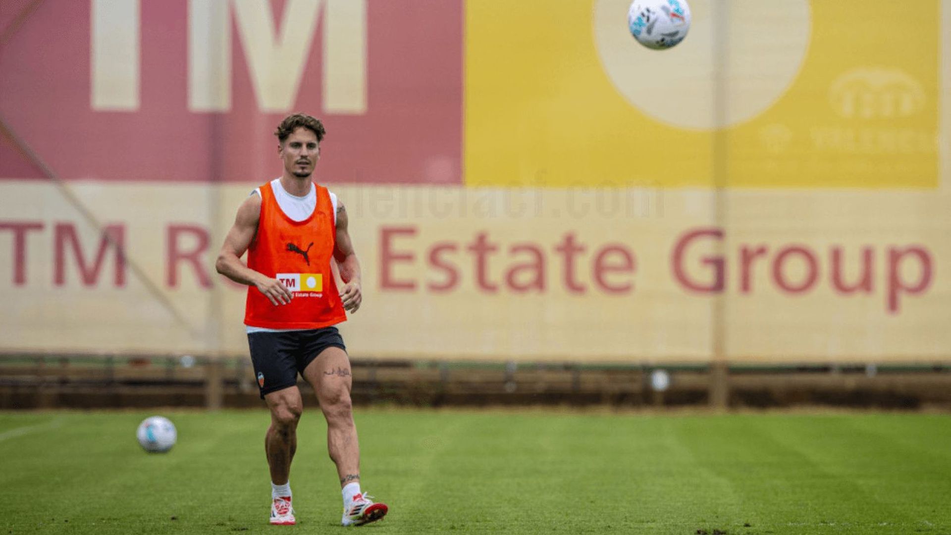 sergi_canos_001.png sergi_canos_001.png