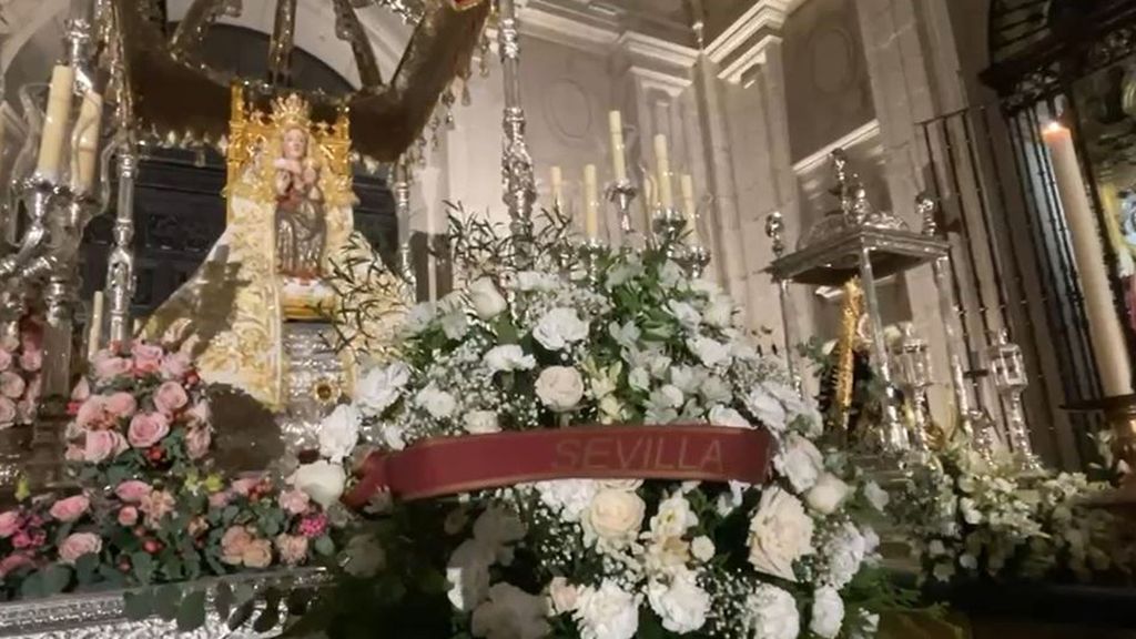 Sevilla - Flores Magna