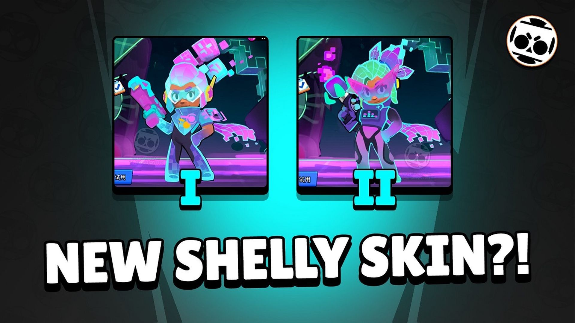 Shelly.jpg