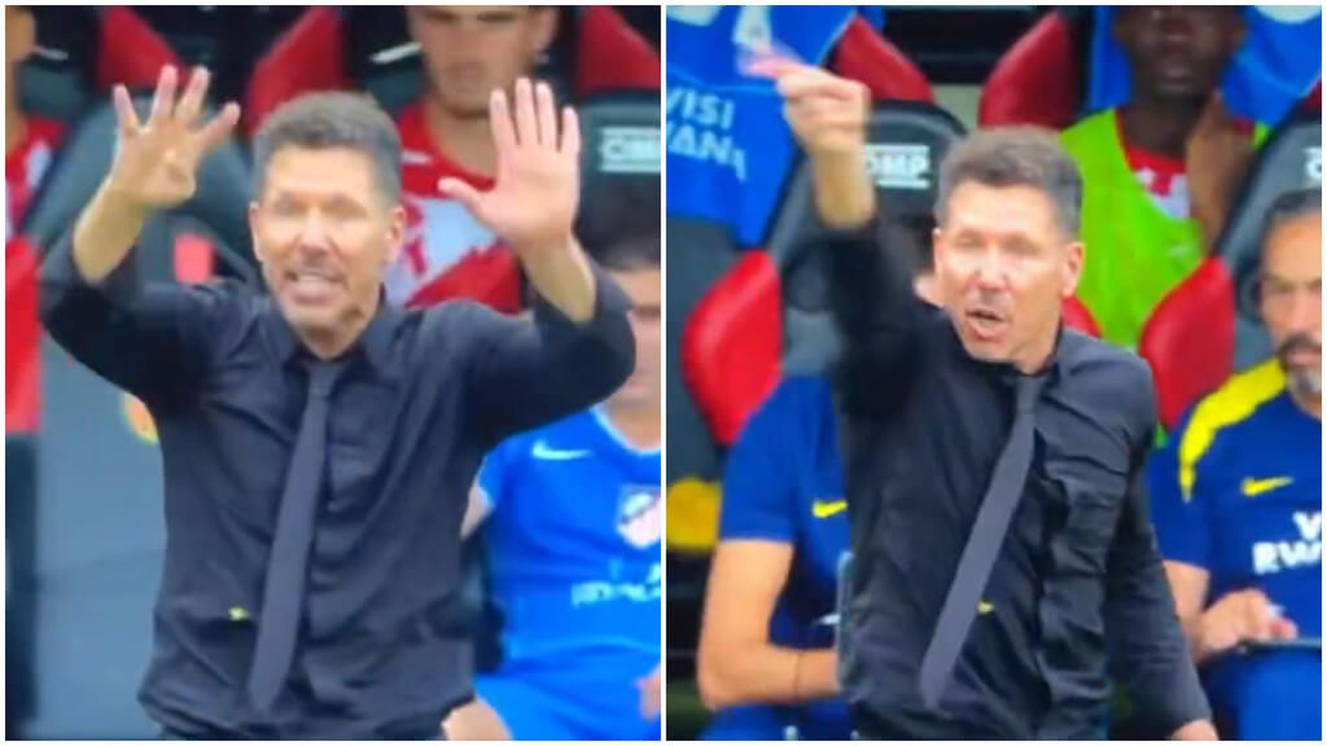 simeone_4jpg.jpg