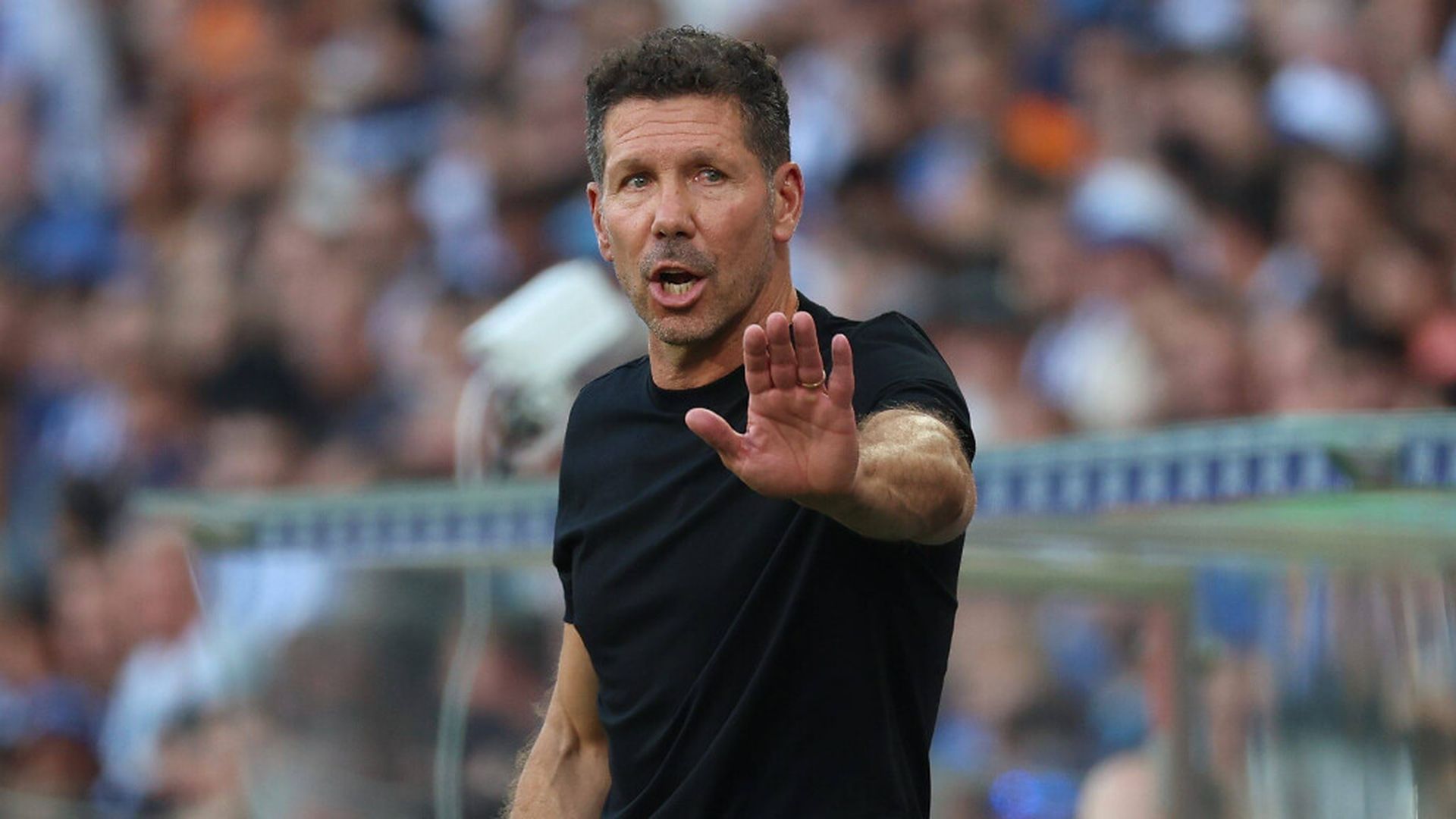 simeone_pendjpg_001.jpg simeone_pendjpg_001.jpg