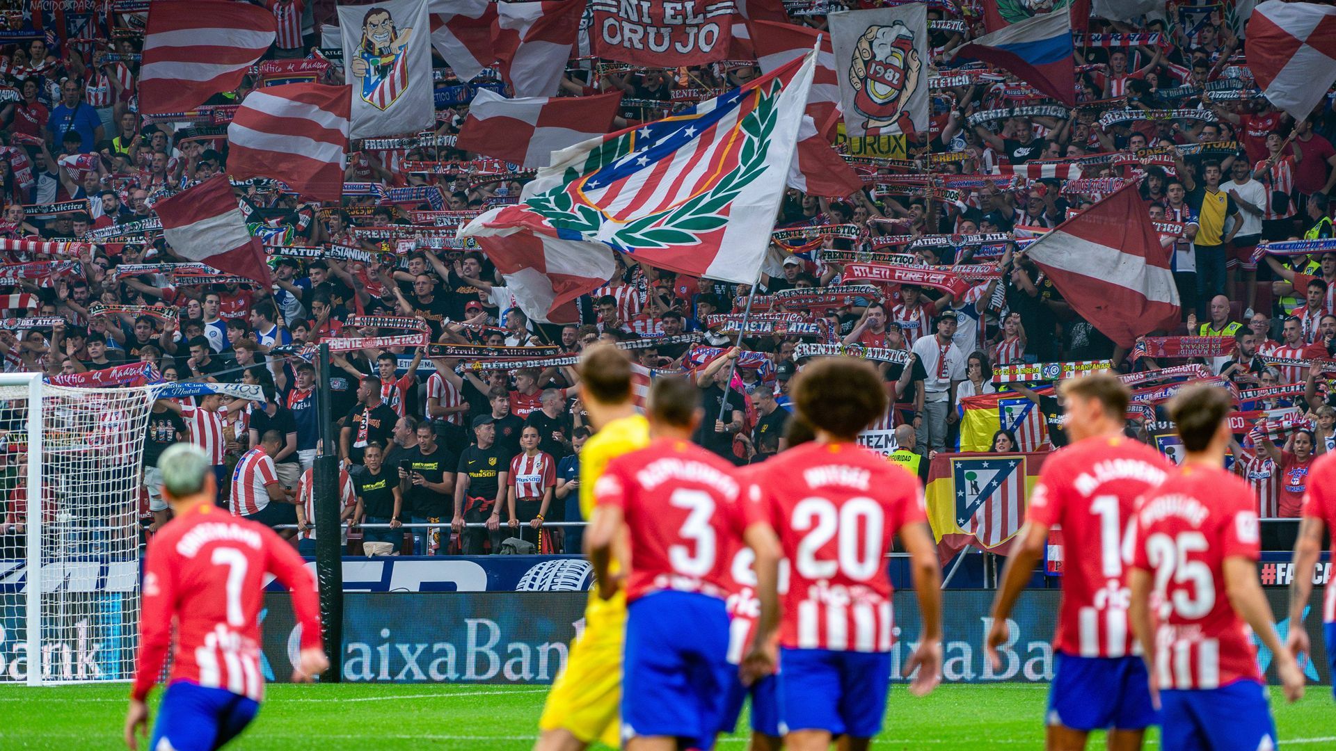 sipausa_48742615.jpg sipausa_48742615.jpg