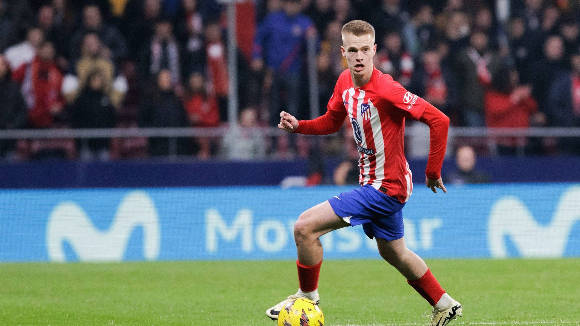 sipausa_50952541.jpg sipausa_50952541.jpg