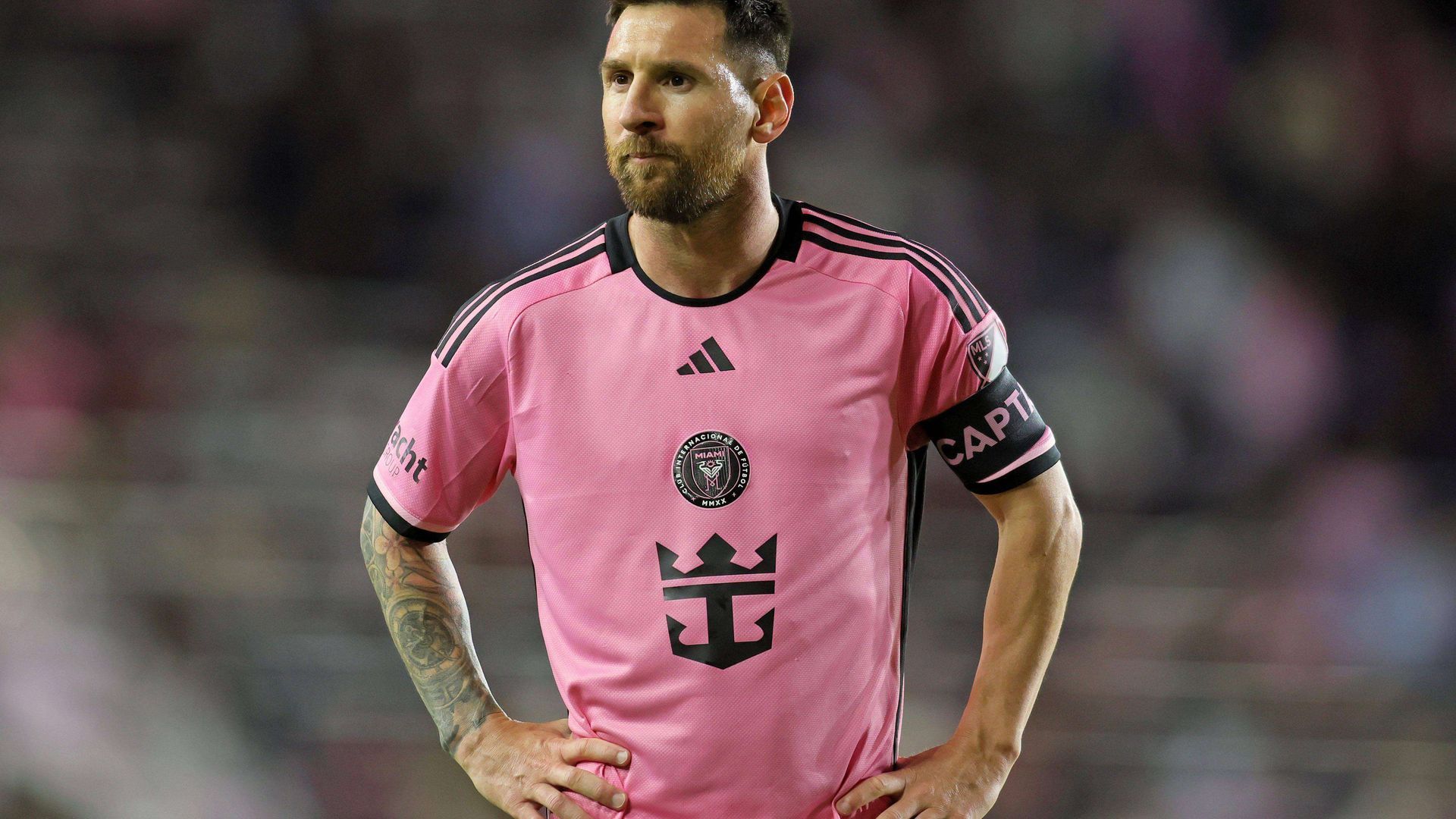 sipausa_51418496.jpg sipausa_51418496.jpg