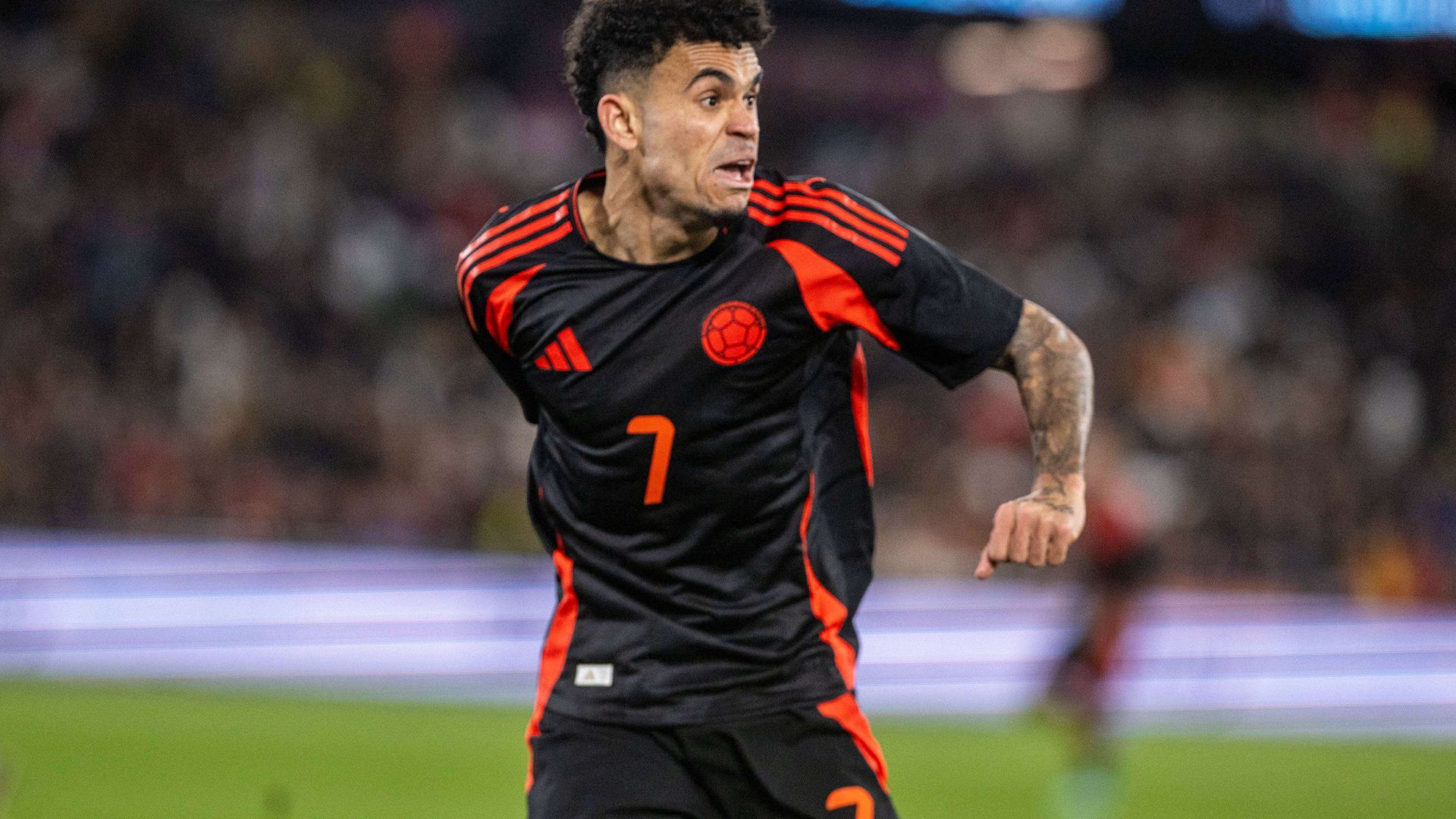 sipausa_52121400jpg_001.jpg sipausa_52121400jpg_001.jpg