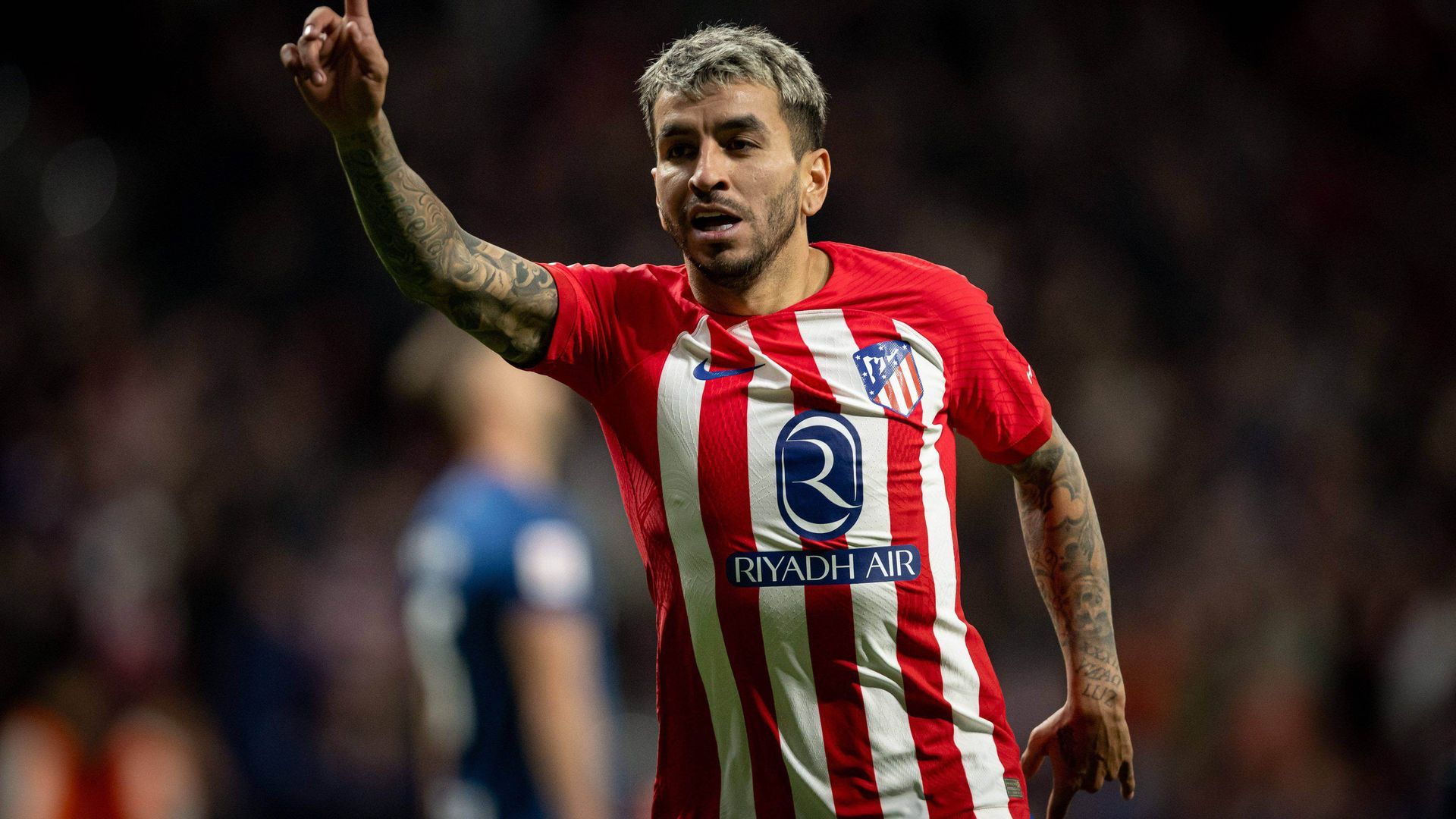 sipausa_52842089.jpg sipausa_52842089.jpg