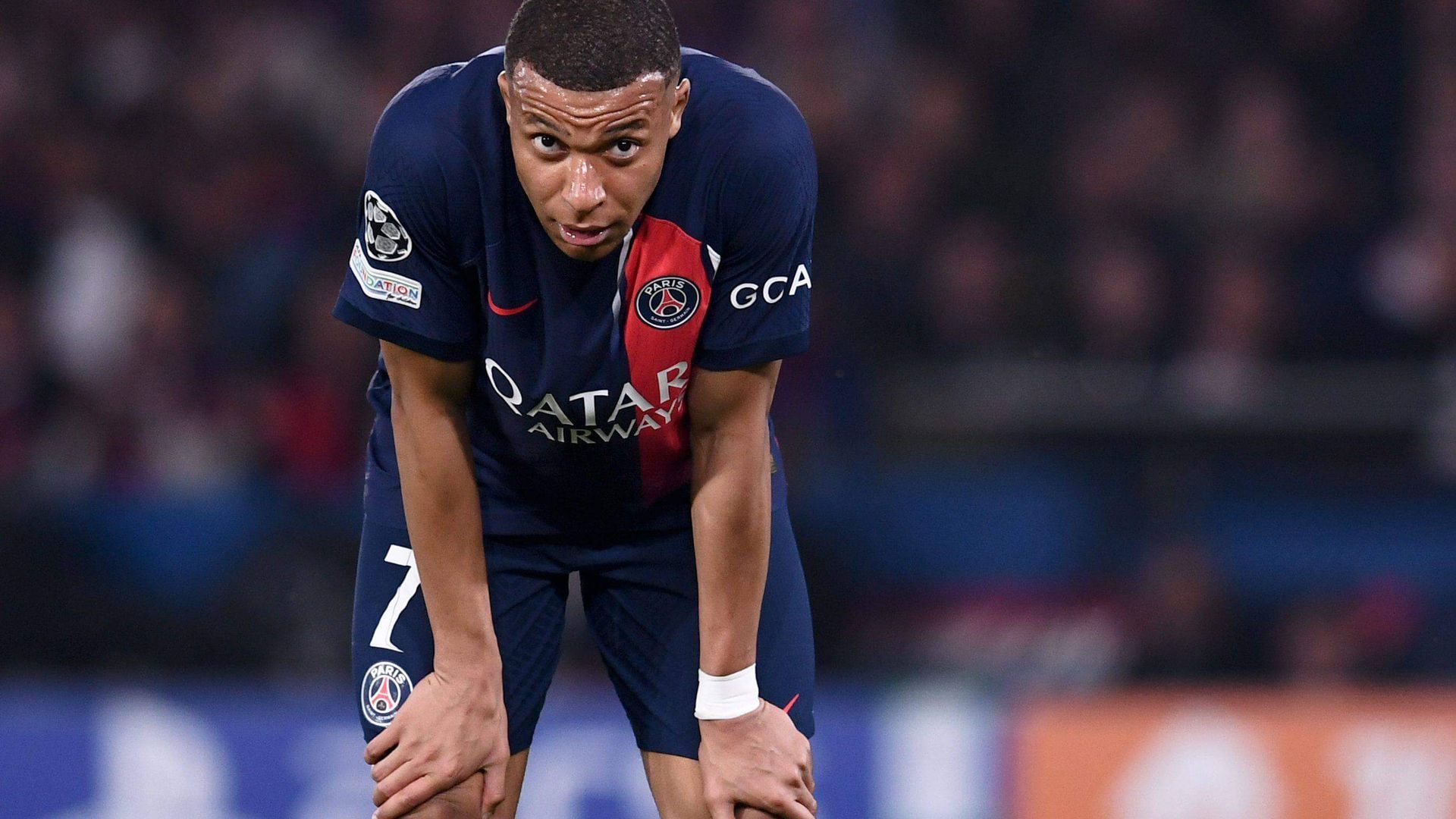 sipausa_53054043jpg_001.jpg sipausa_53054043jpg_001.jpg