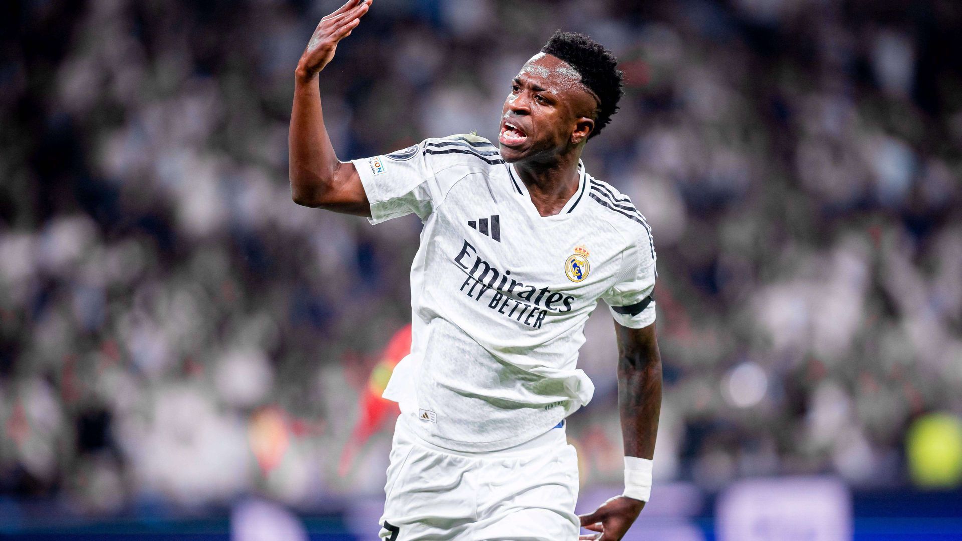 sipausa_57580890jpg_001.jpg sipausa_57580890jpg_001.jpg