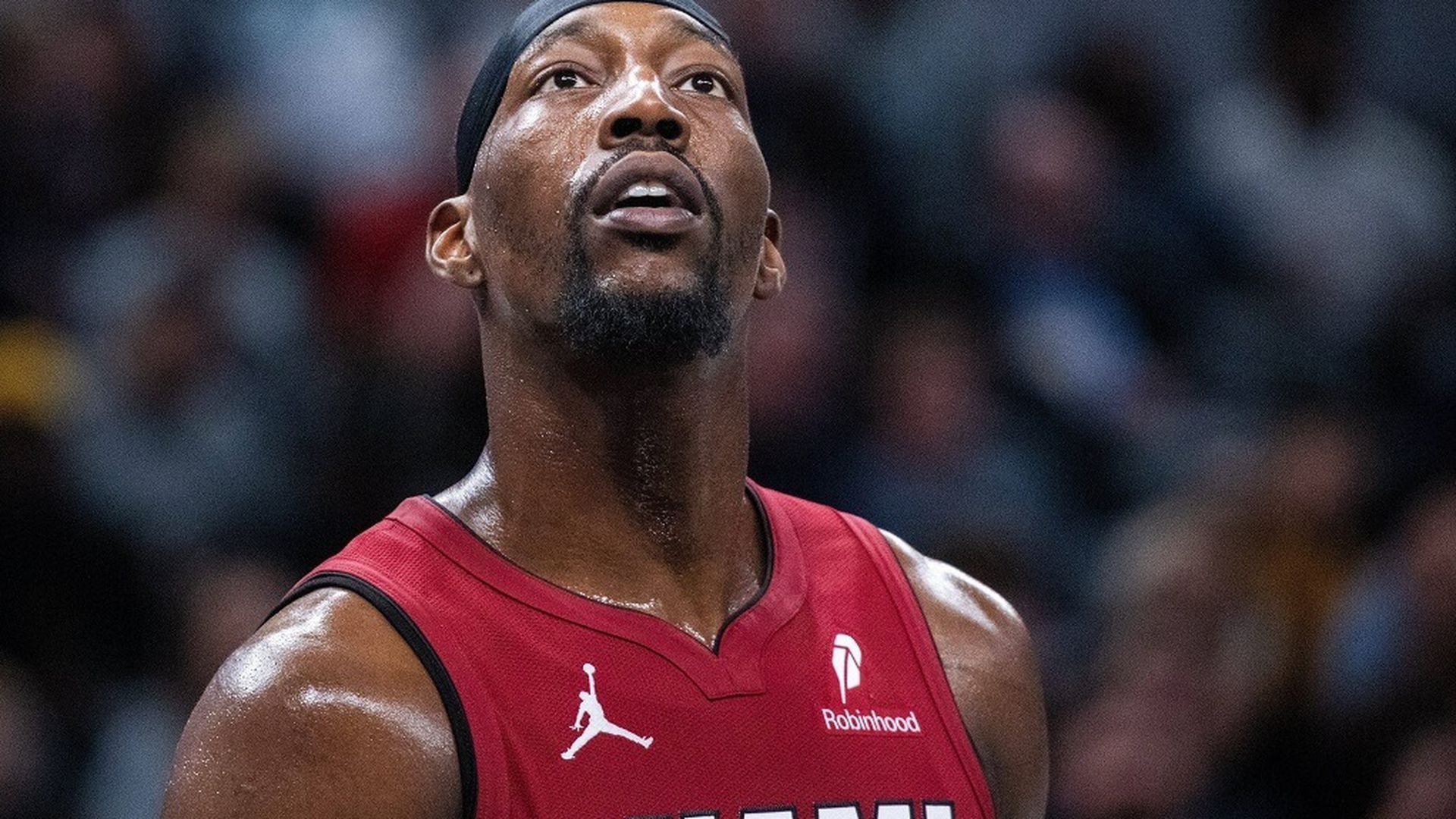 sipausa_57835193_001jpg.jpg sipausa_57835193_001jpg.jpg