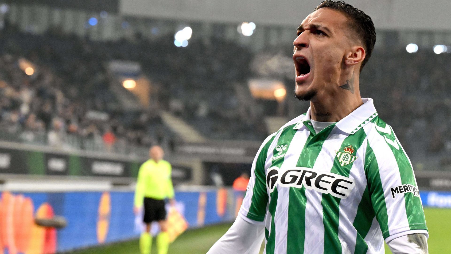 sipausa_59466786_1.jpg sipausa_59466786_1.jpg