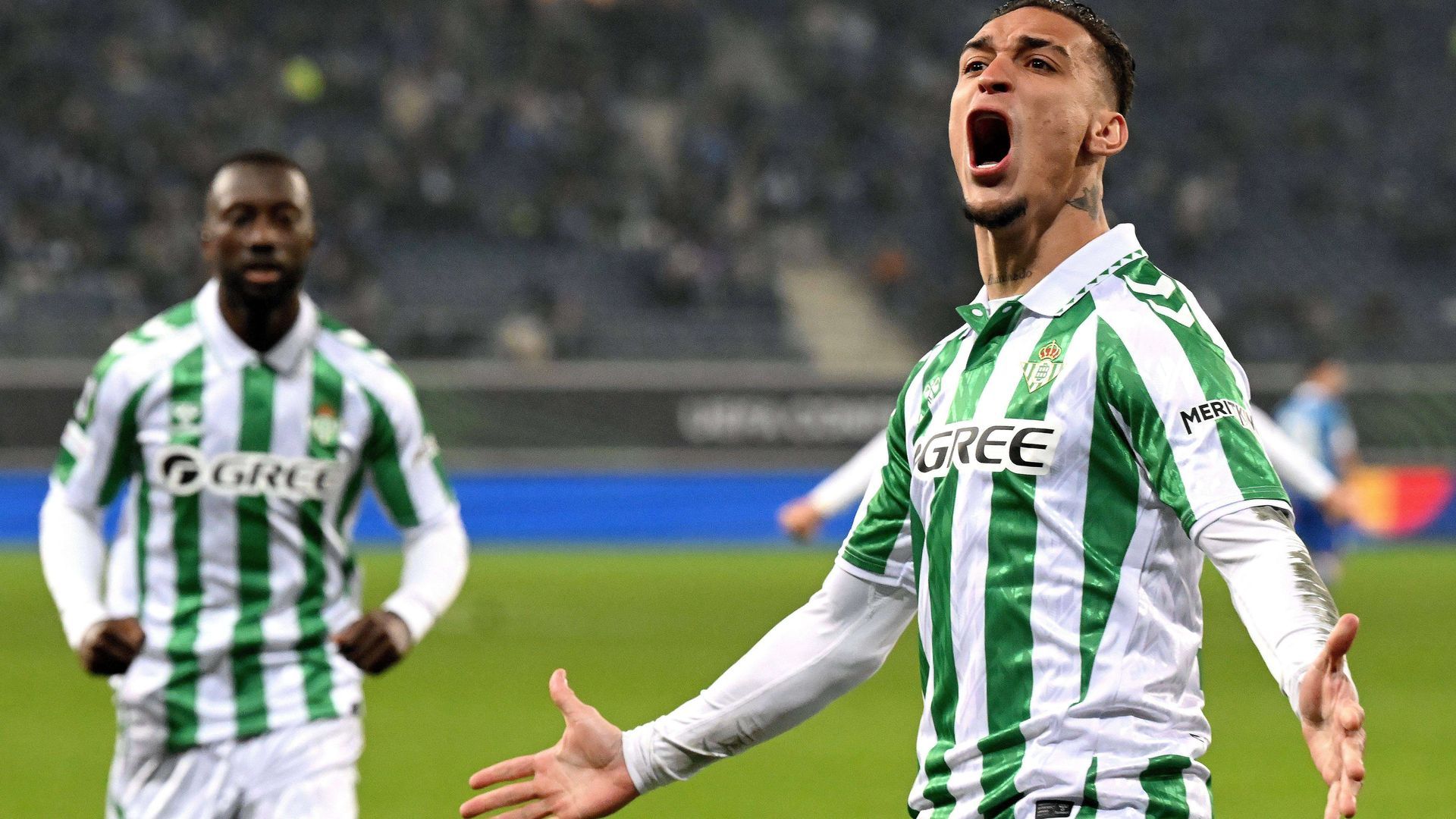 sipausa_59466821.jpg sipausa_59466821.jpg