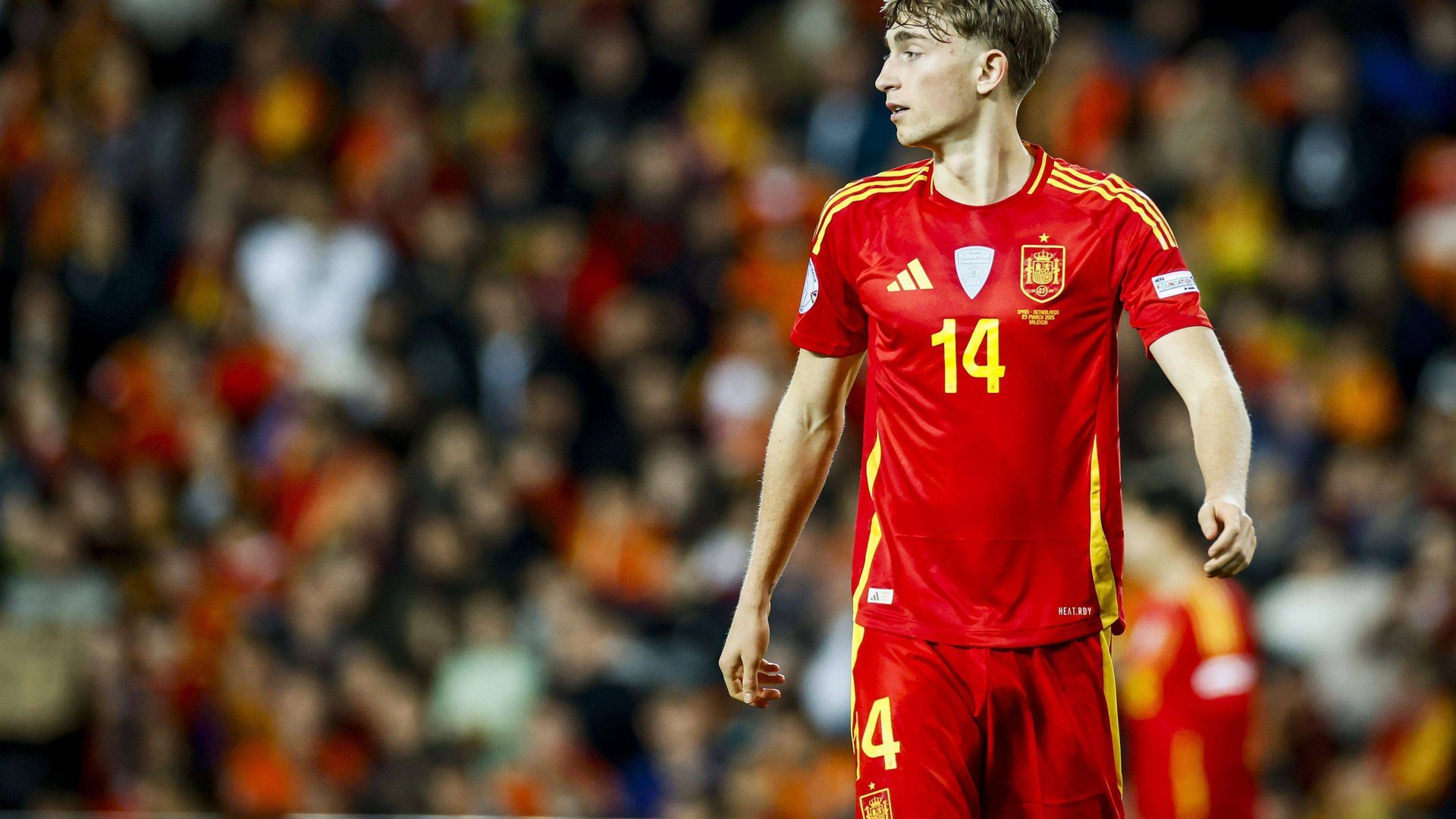 sipausa_60341846jpg_001.jpg sipausa_60341846jpg_001.jpg