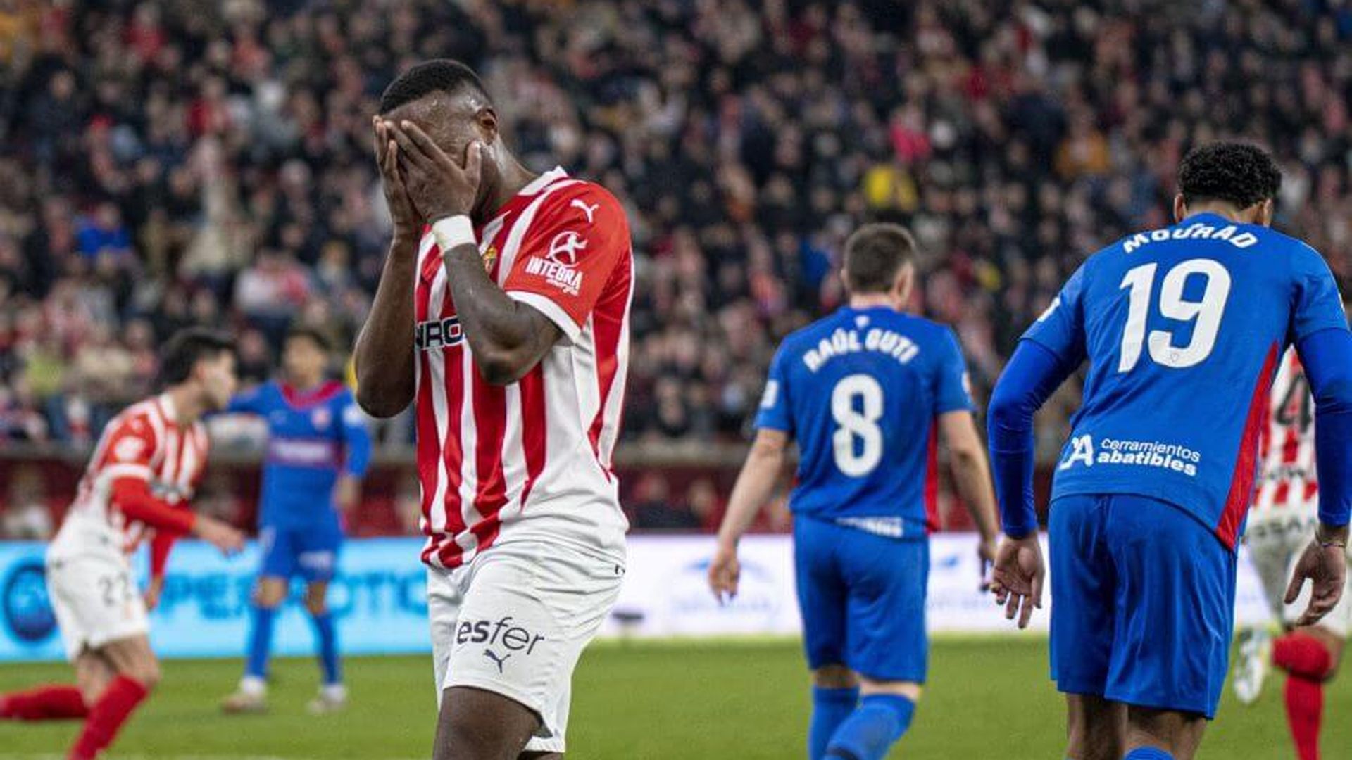 sporting_elche_003.jpeg sporting_elche_003.jpeg