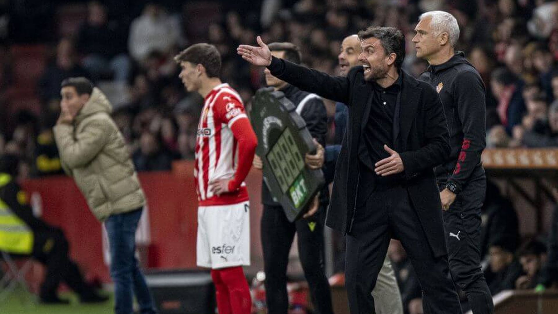 sporting_elche.jpeg sporting_elche.jpeg