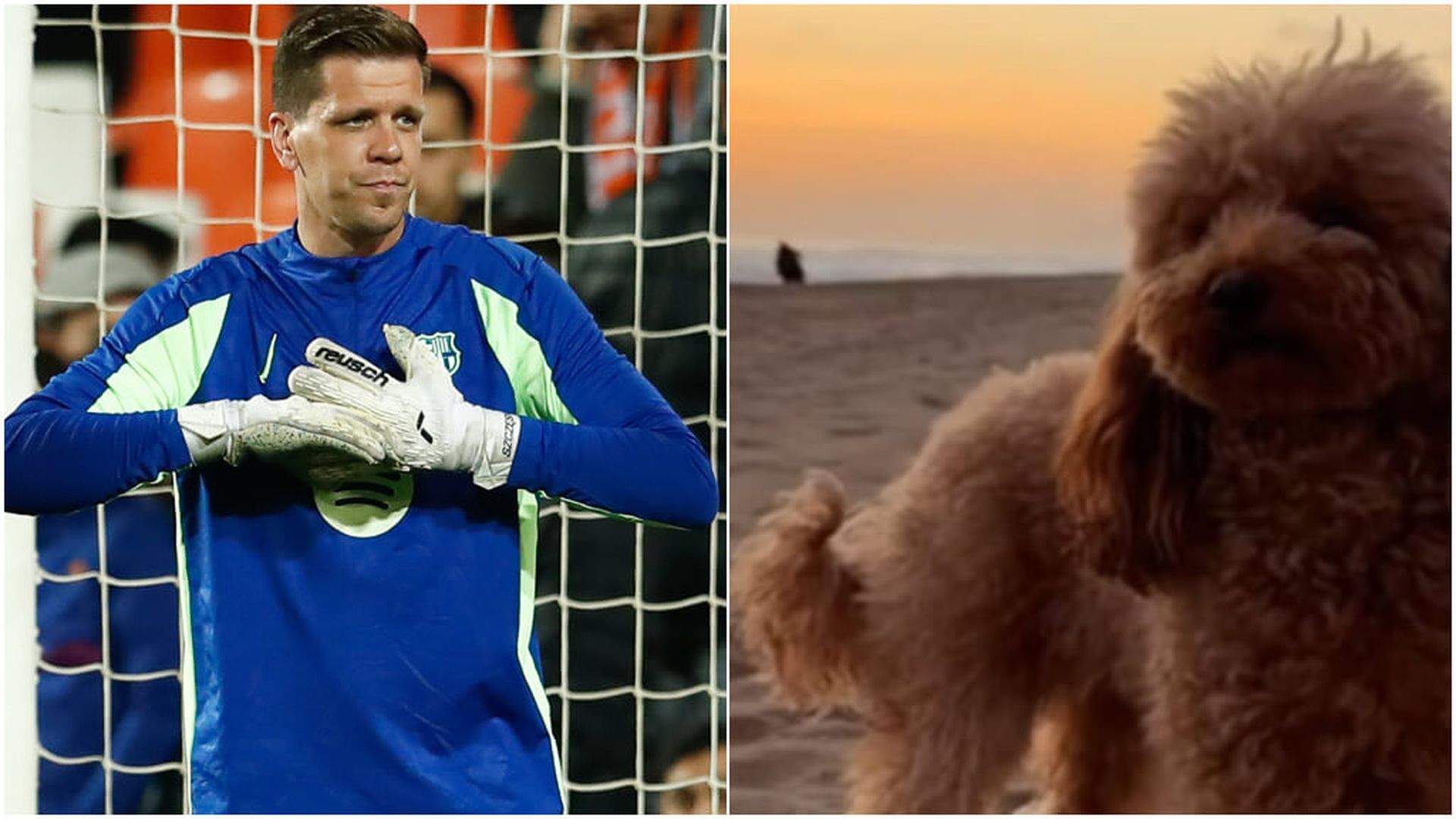 szczesny_jpg_001.jpg szczesny_jpg_001.jpg