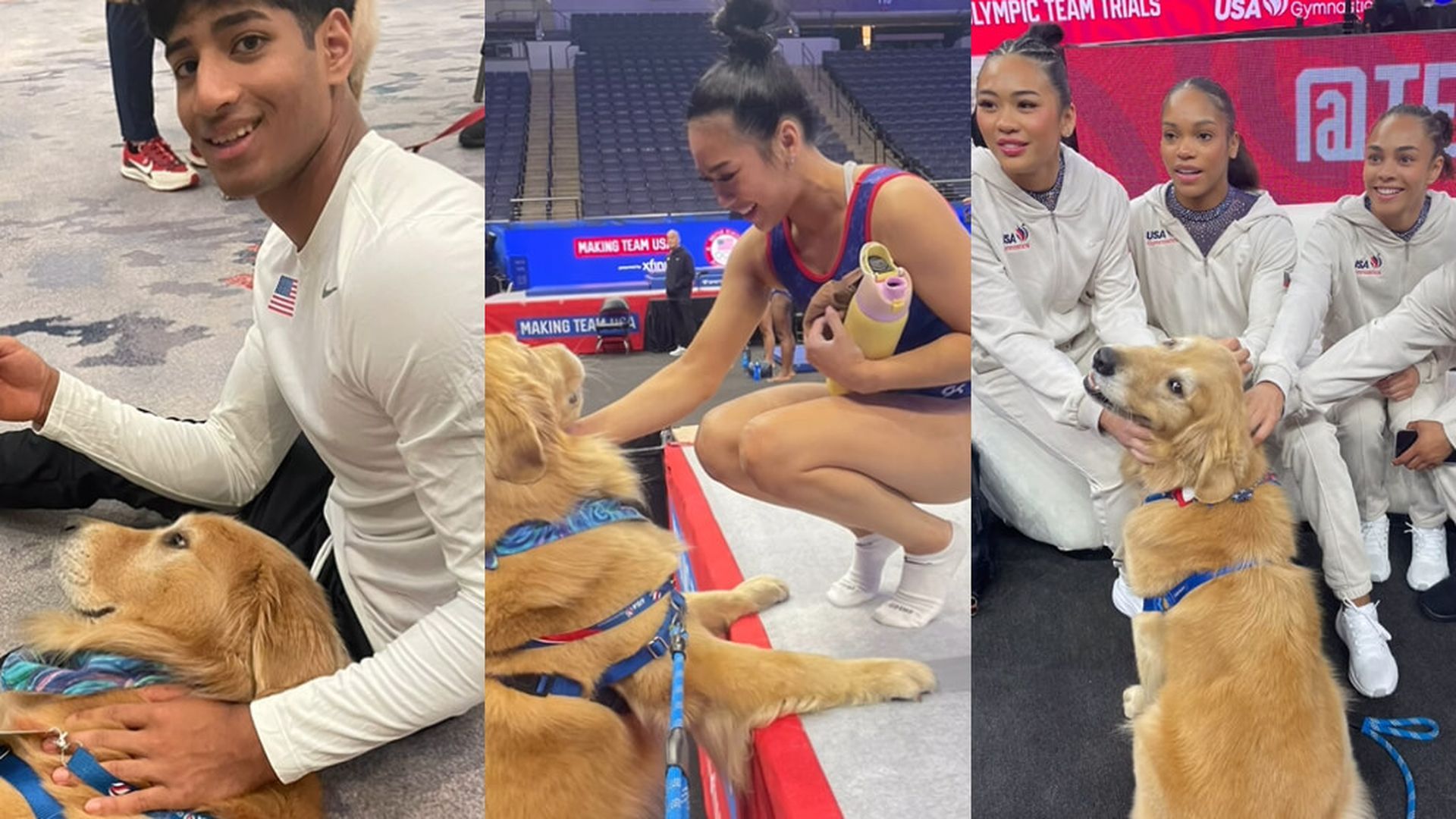 terapia_animalesjpg_001.jpg terapia_animalesjpg_001.jpg