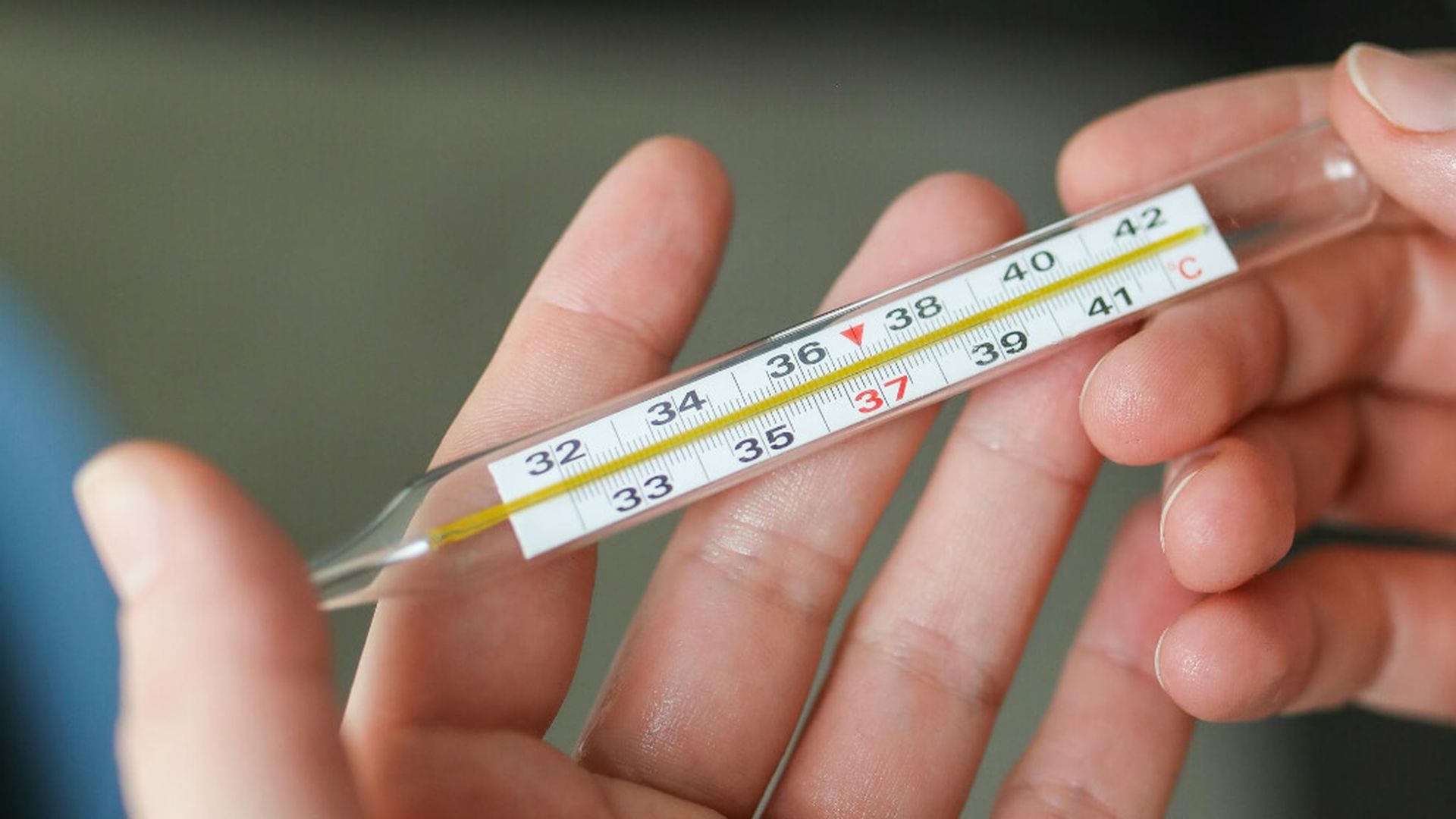 termometrojpg_001.jpg termometrojpg_001.jpg