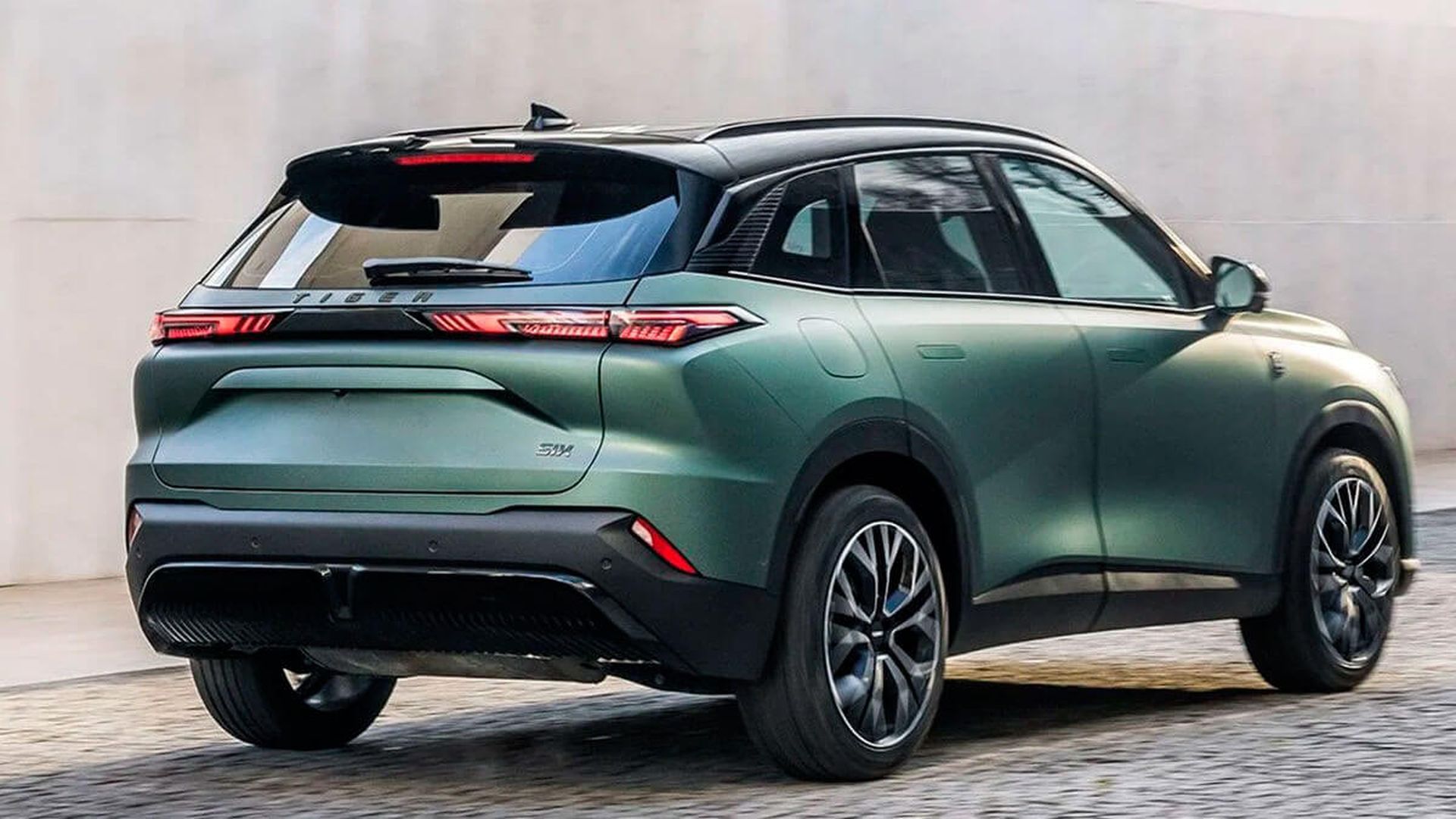 tiger_sixjpg.jpg tiger_sixjpg.jpg