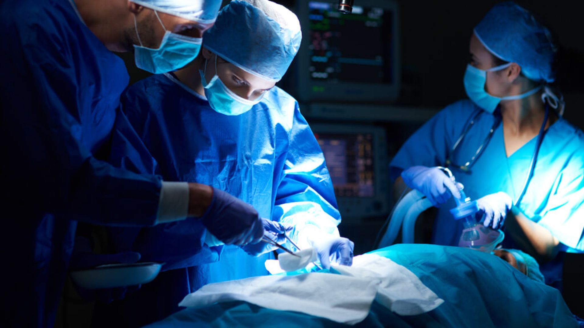 trasplantejpg_001.jpg trasplantejpg_001.jpg