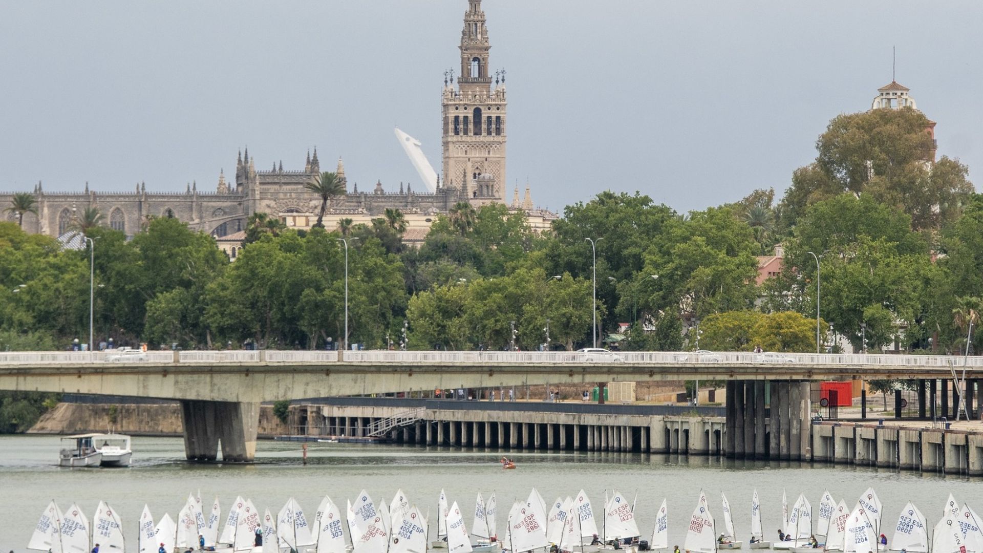 trofeo_club_nautico_sevilla_de_la_clase_optimist.jpeg trofeo_club_nautico_sevilla_de_la_clase_optimist.jpeg