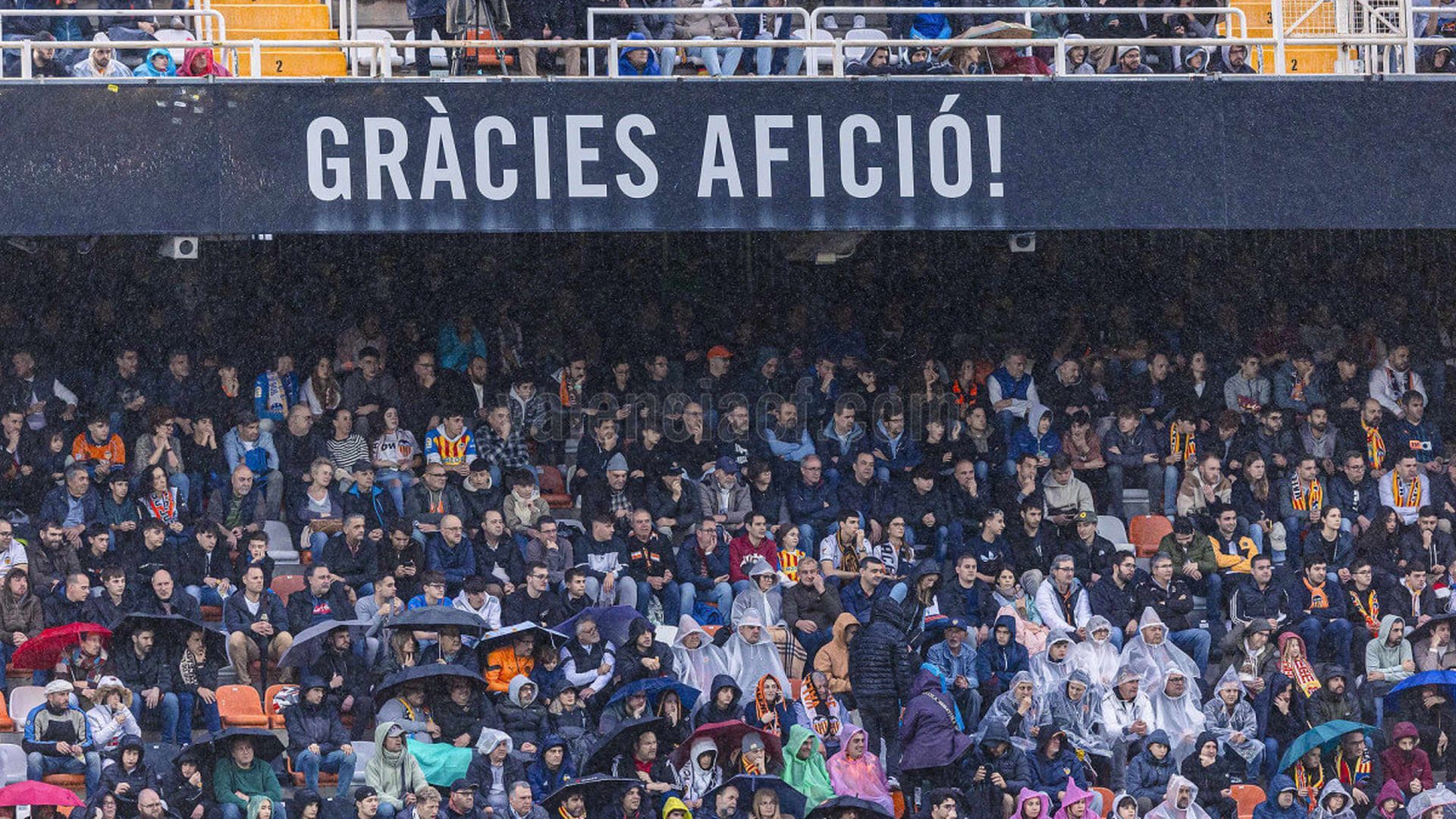 valencia_mallorca_003.jpeg valencia_mallorca_003.jpeg