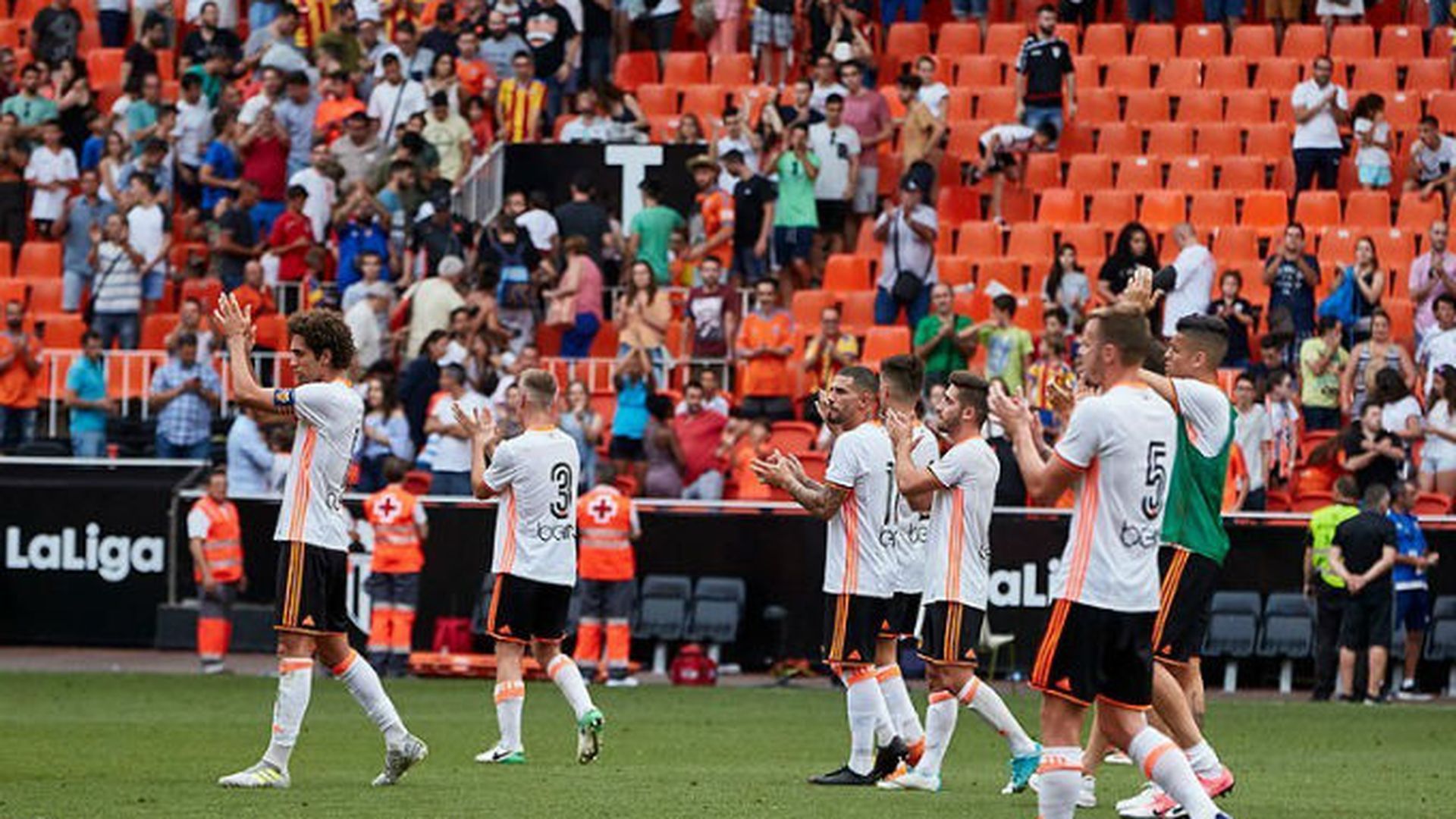vcf.jpg