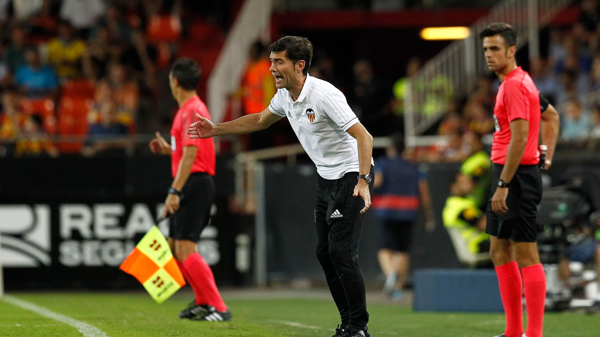 VCF017.JPG