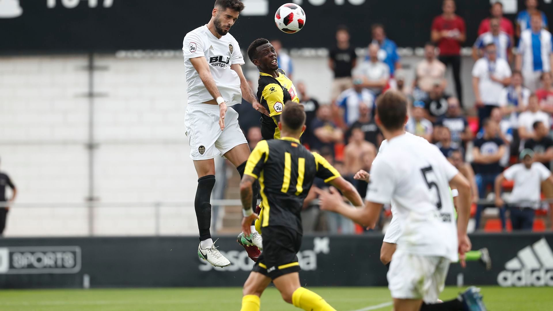 vcfmestalla05jpg.jpg