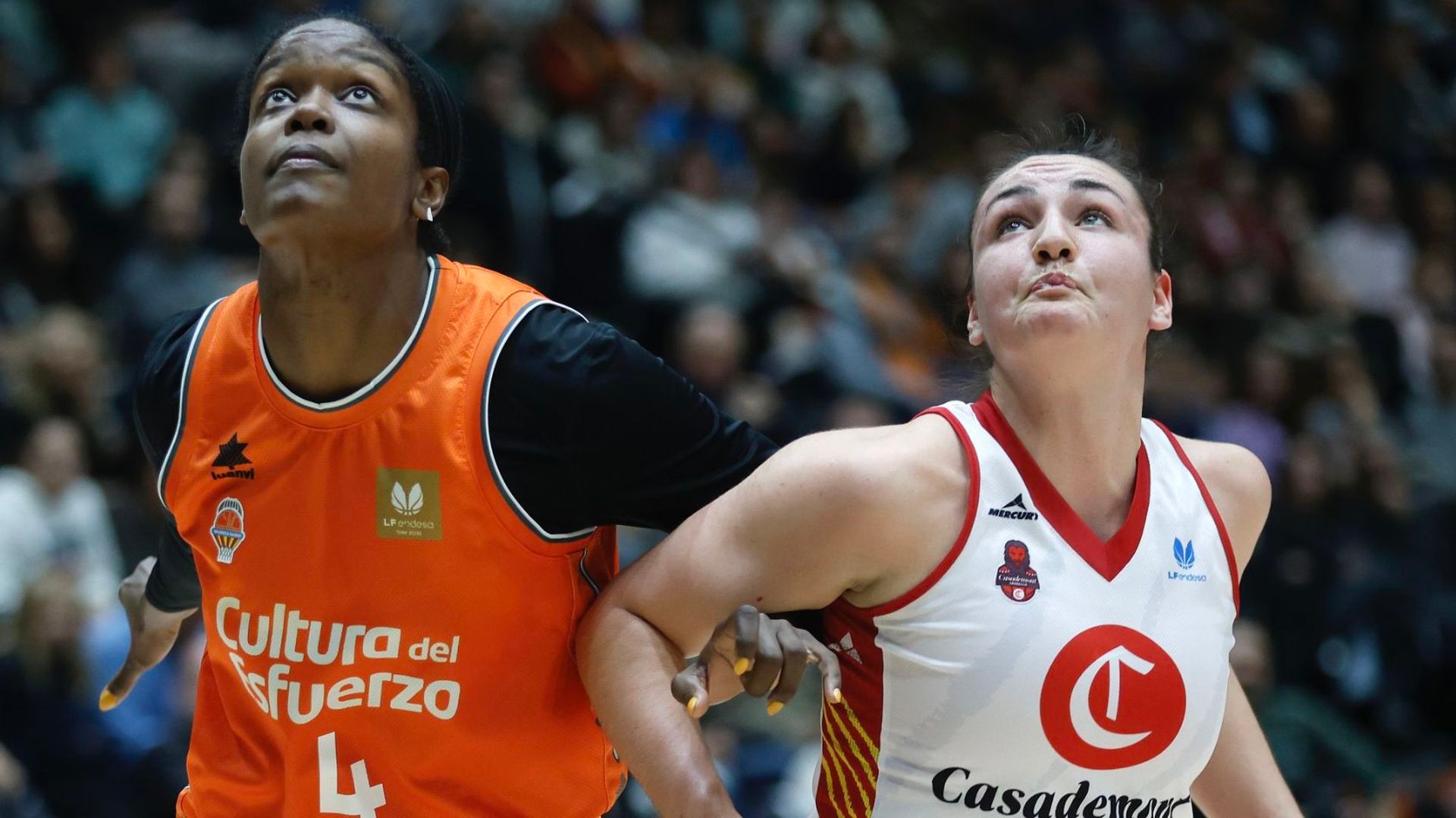victoria_de_valencia_basket_en_la_fonteta_ante_casademont_zaragoza_001.png victoria_de_valencia_basket_en_la_fonteta_ante_casademont_zaragoza_001.png