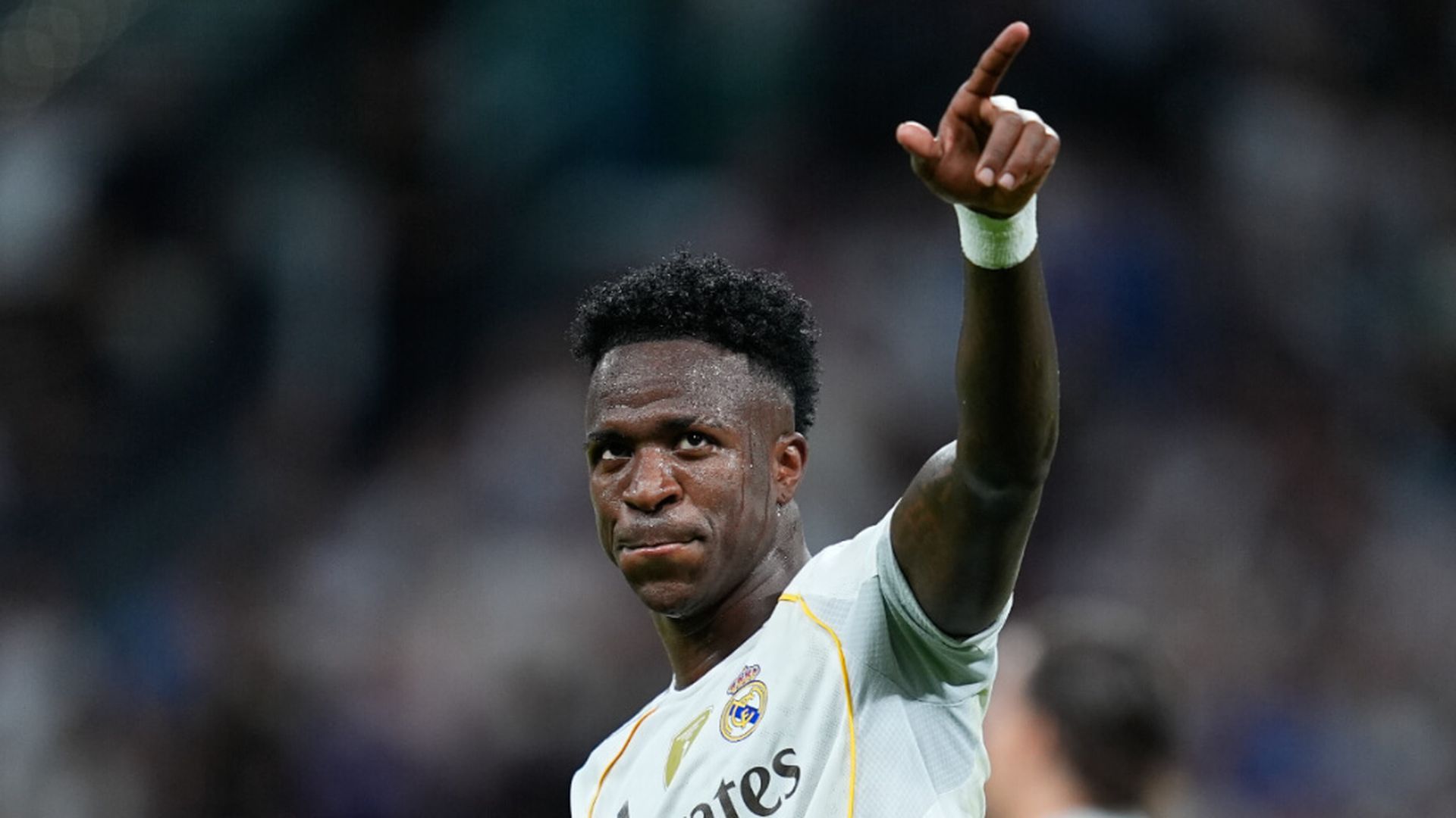 vini_3jpg.jpg vini_3jpg.jpg