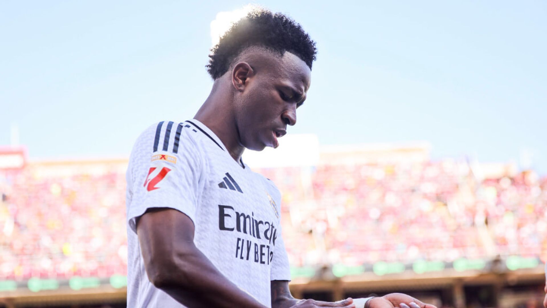 vini_4jpg.jpg vini_4jpg.jpg